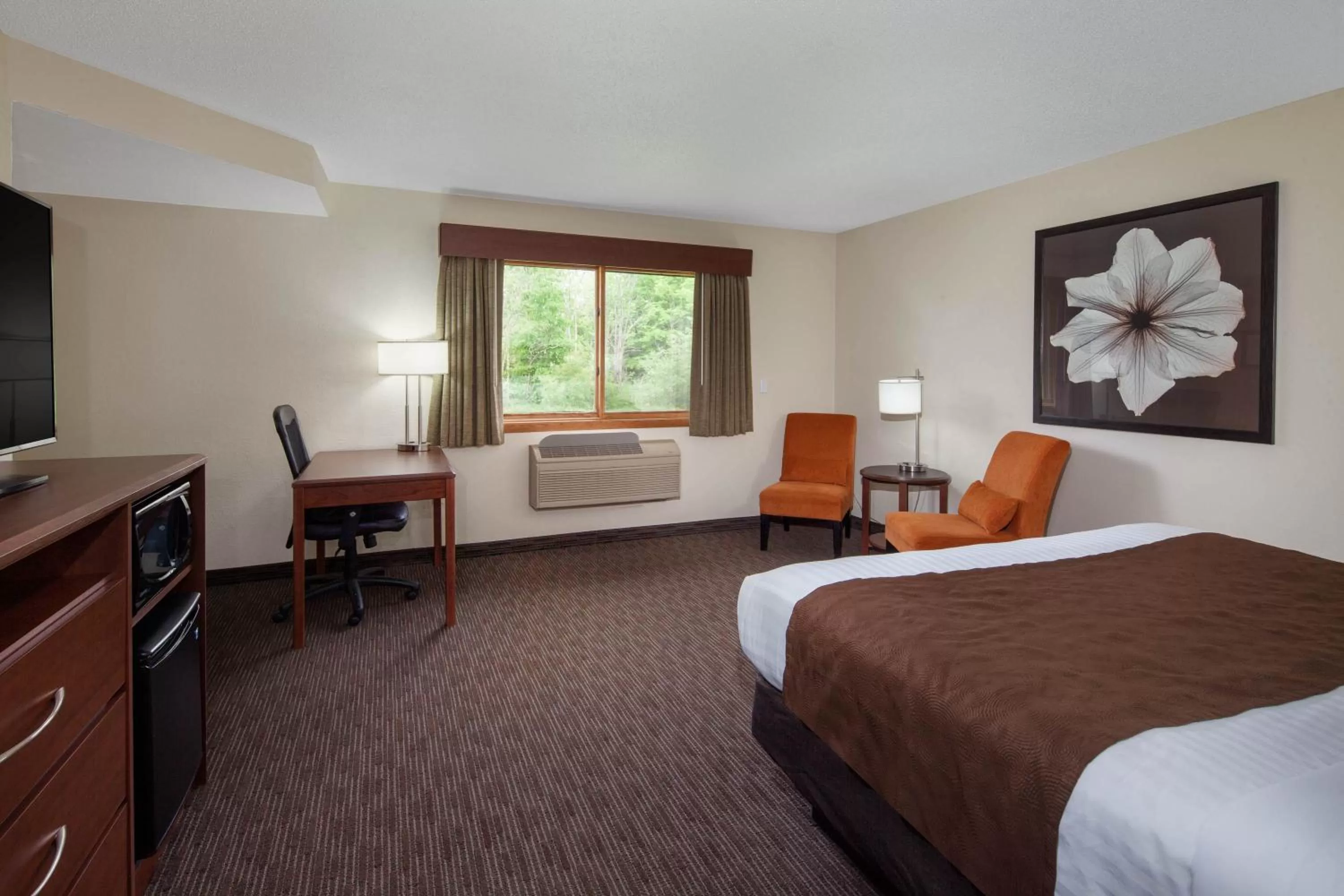 Photo of the whole room, Bed in AmericInn by Wyndham Ironwood