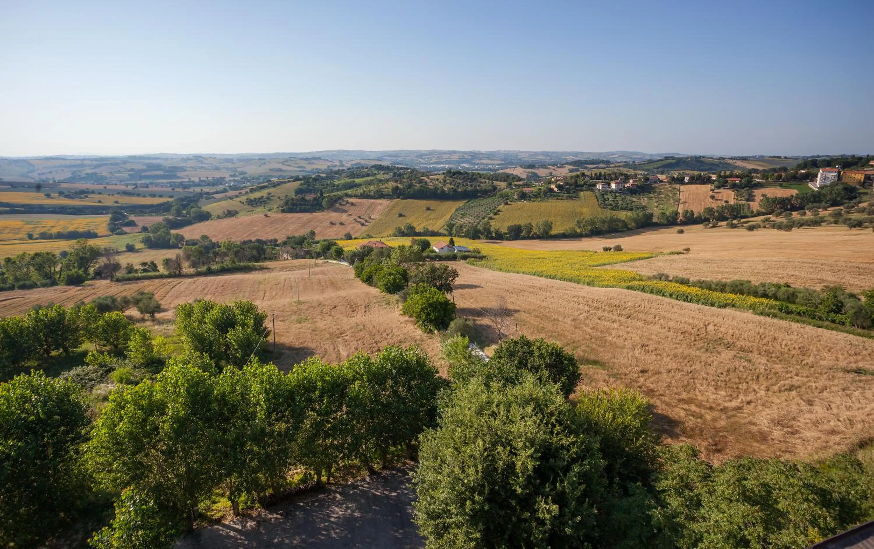 Restaurant/places to eat in La Cantinella