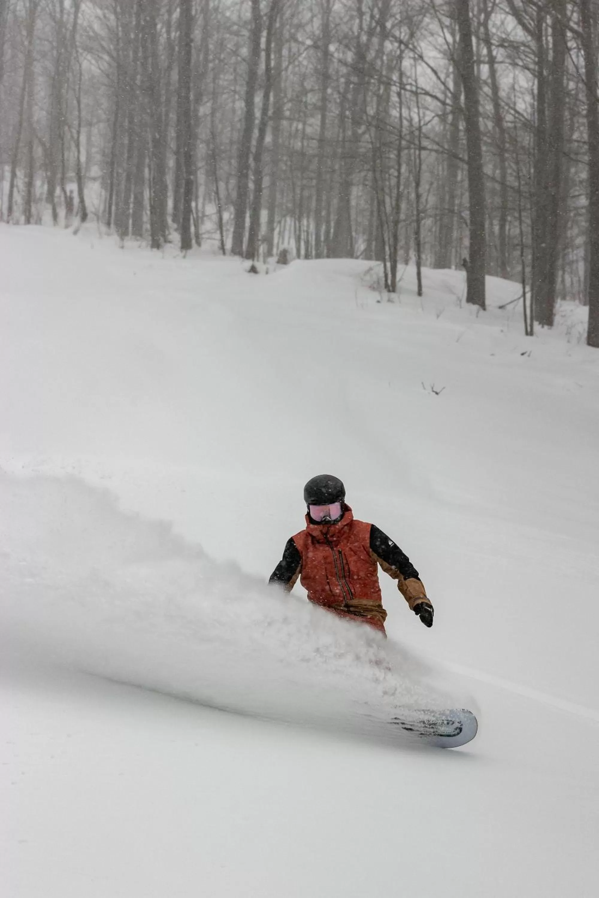 Skiing in Blue Mountain Resort Mosaic Suites