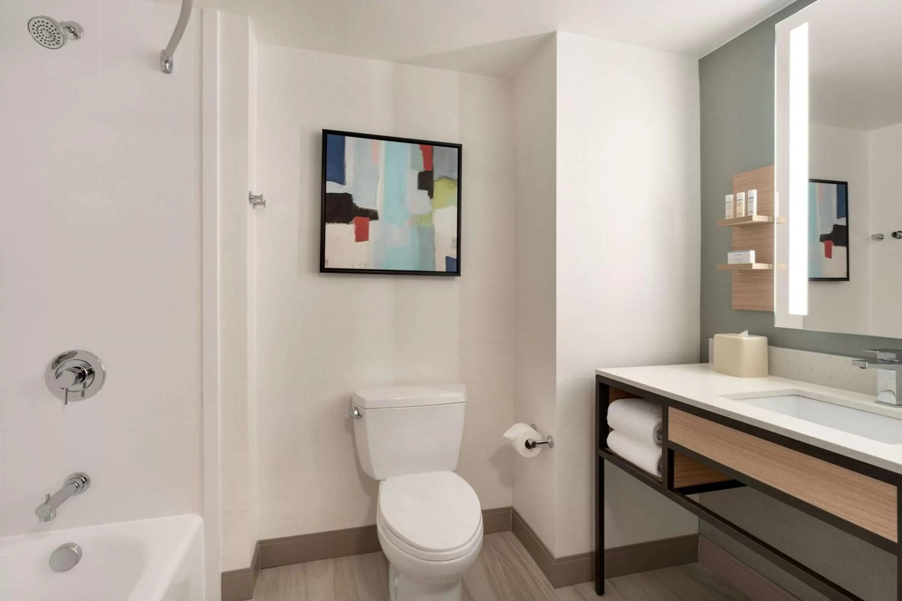 Bathroom in Hilton Garden Inn Tysons Corner