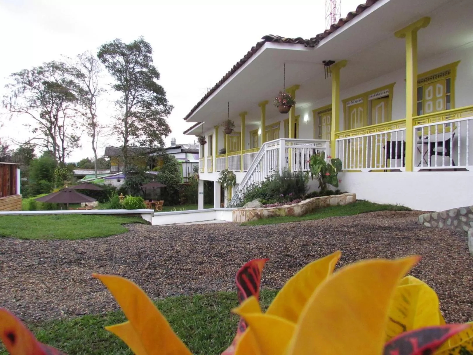 View (from property/room), Property Building in Hotel Salento Plaza