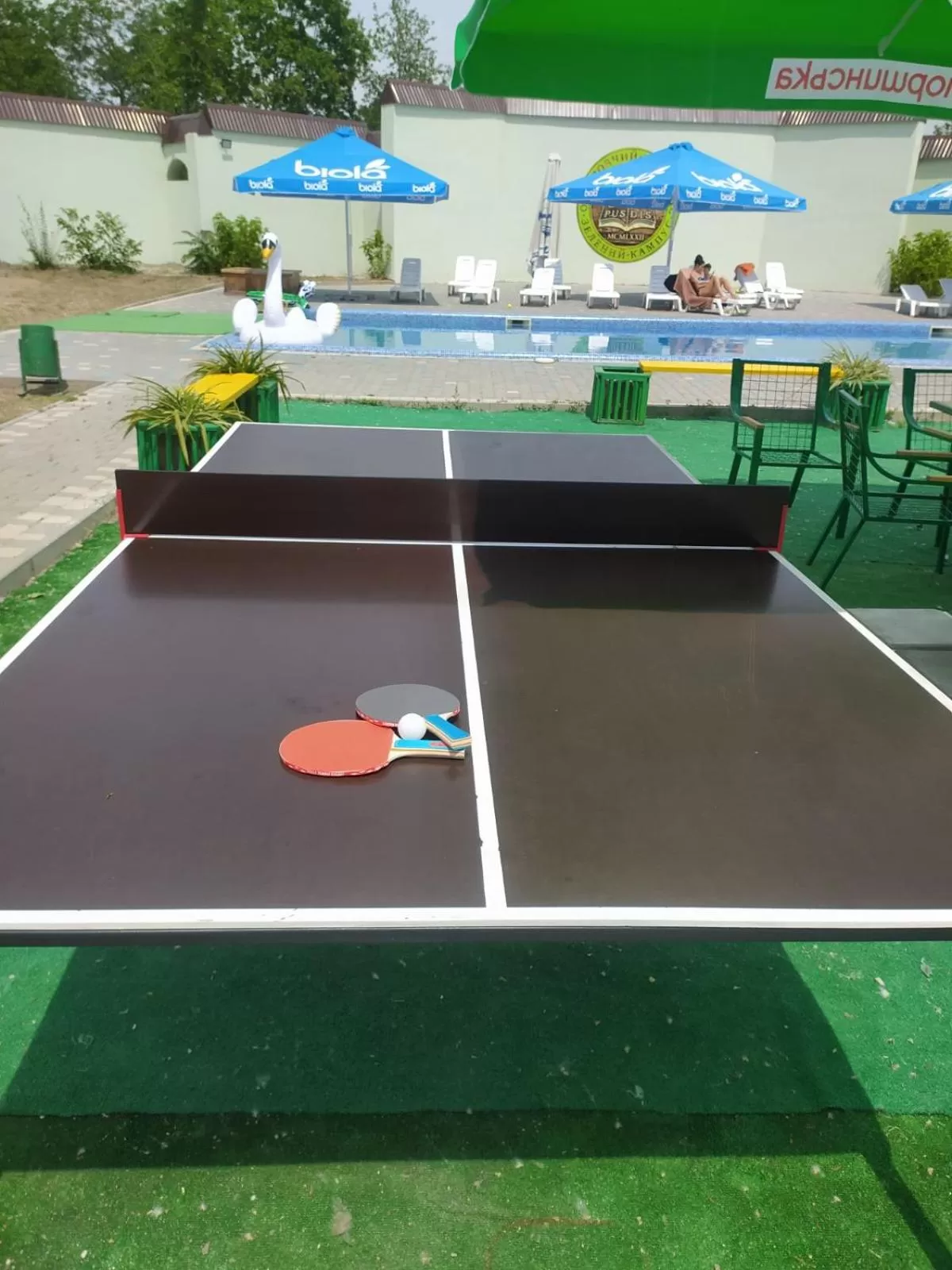 Activities in Zelenyi Kampus