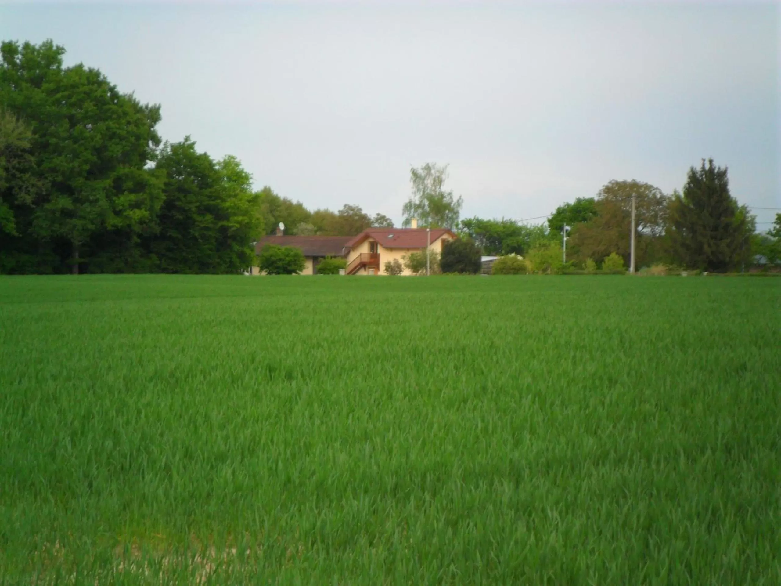 Bird's eye view in Aux Cadollines