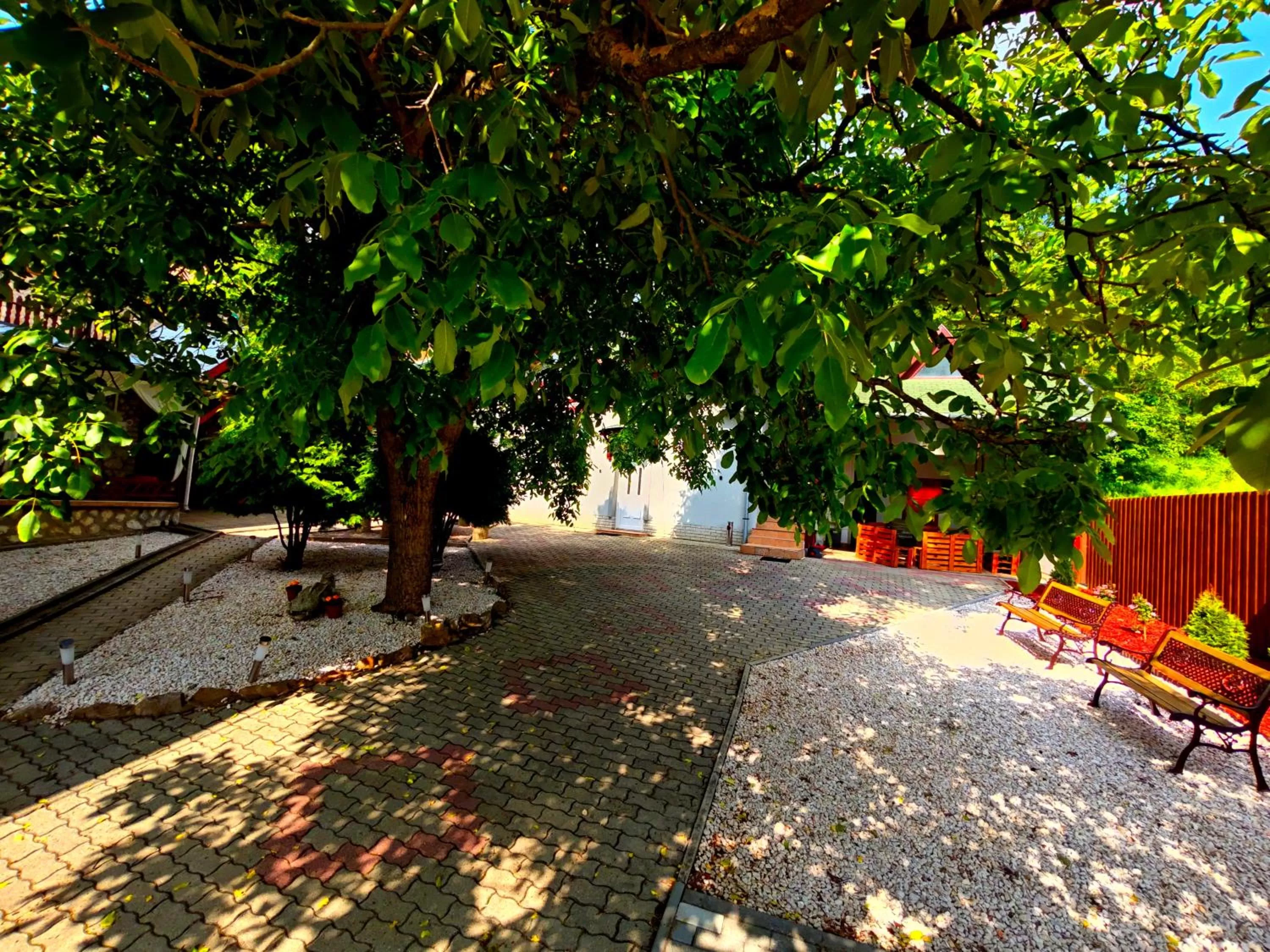 Garden in Zöld Sziget Wellness