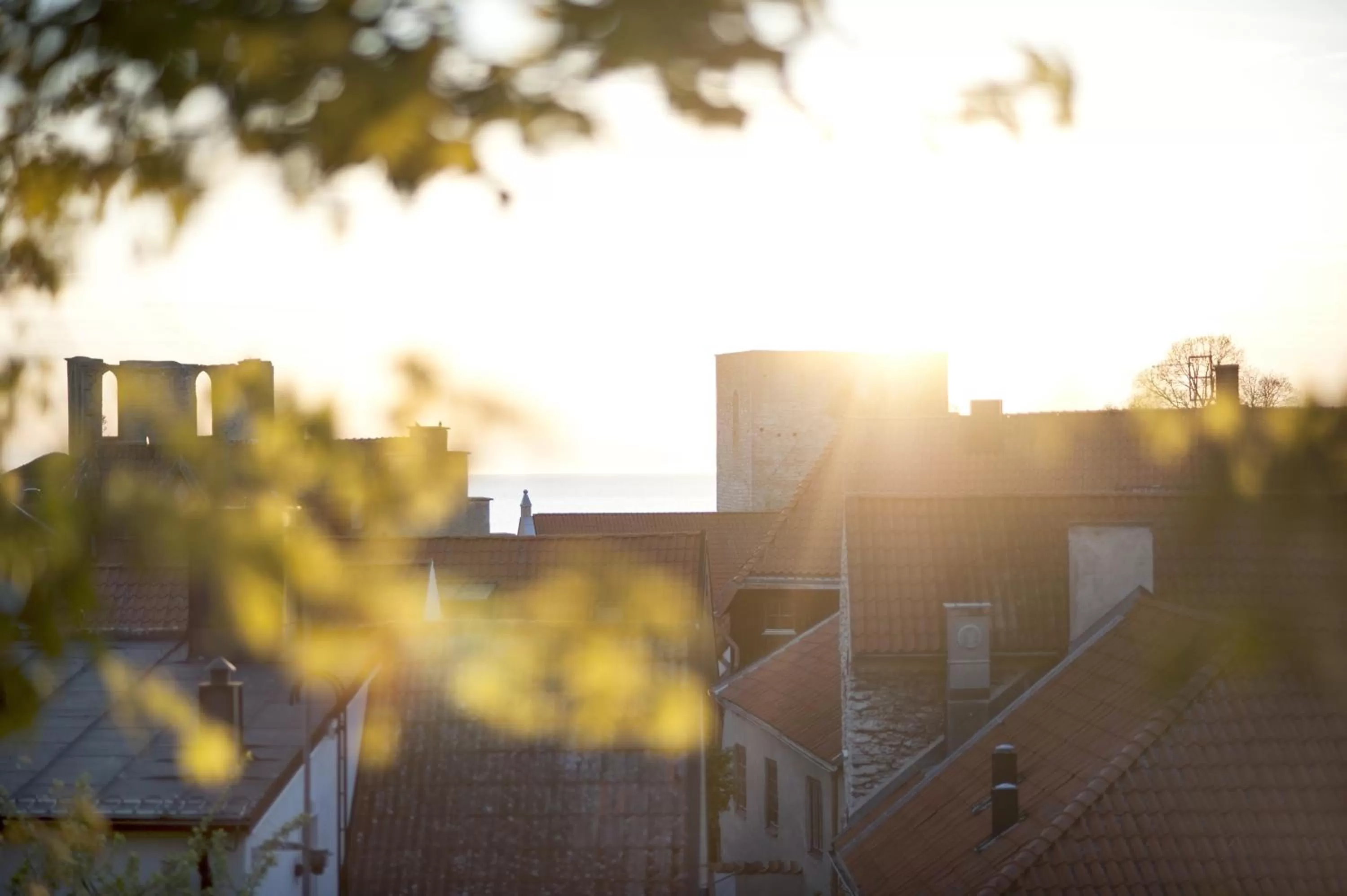 Area and facilities in Hotell Repet