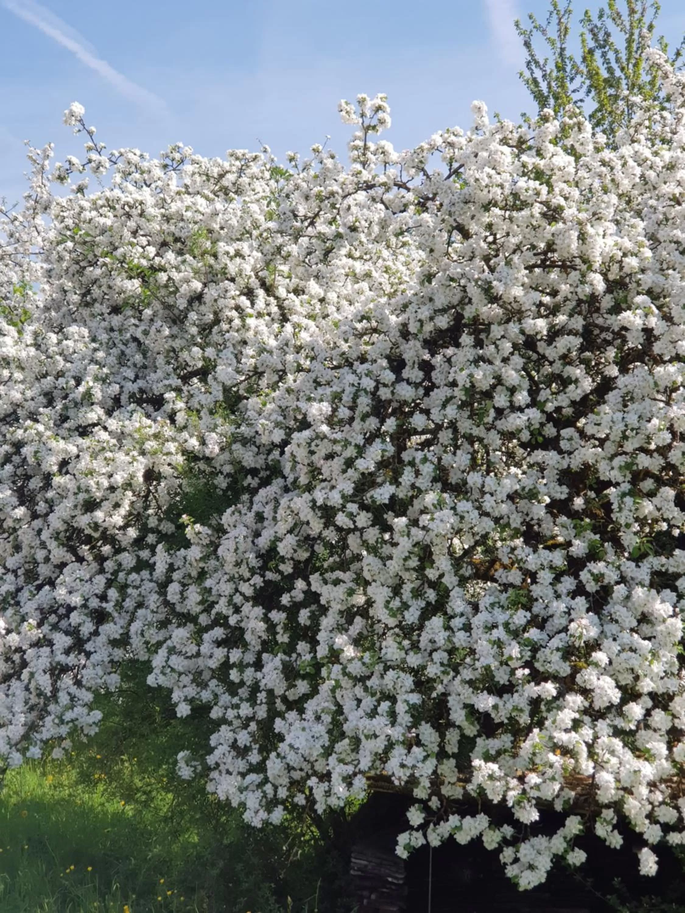 Spring in BnB Mönthal im Jurapark