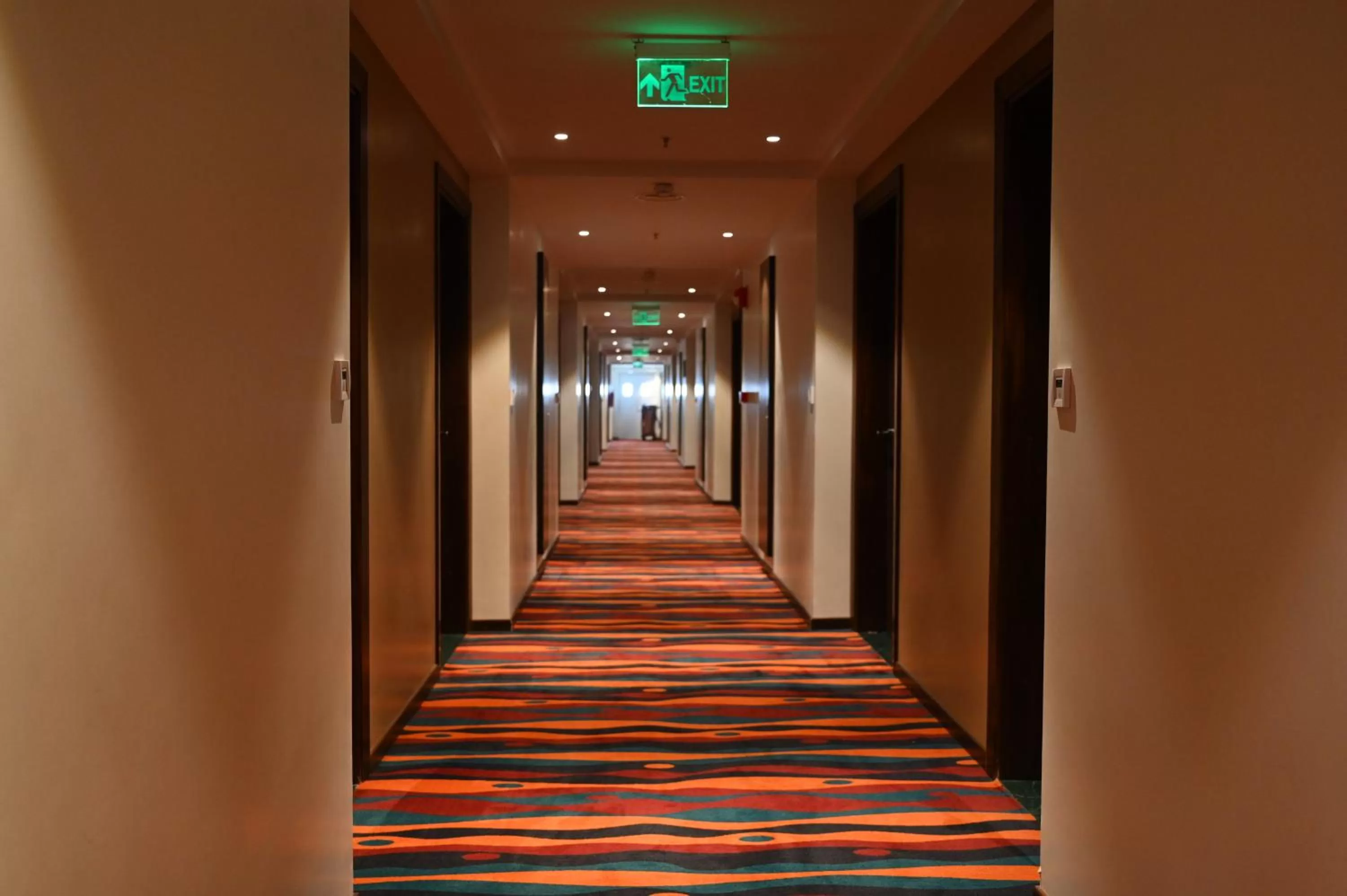 Manjeera Sarovar Premiere