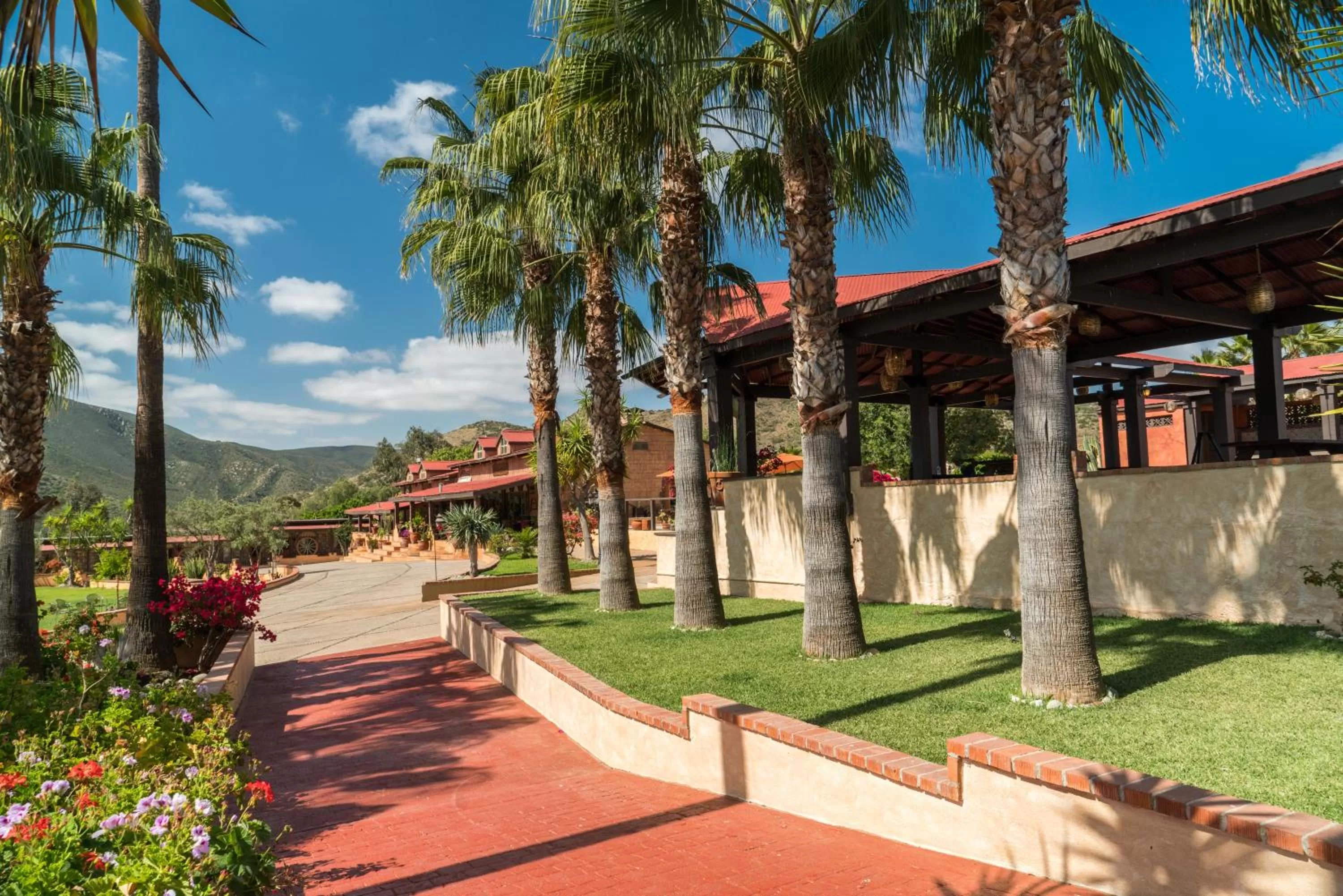 Garden in Horsepower Ranch