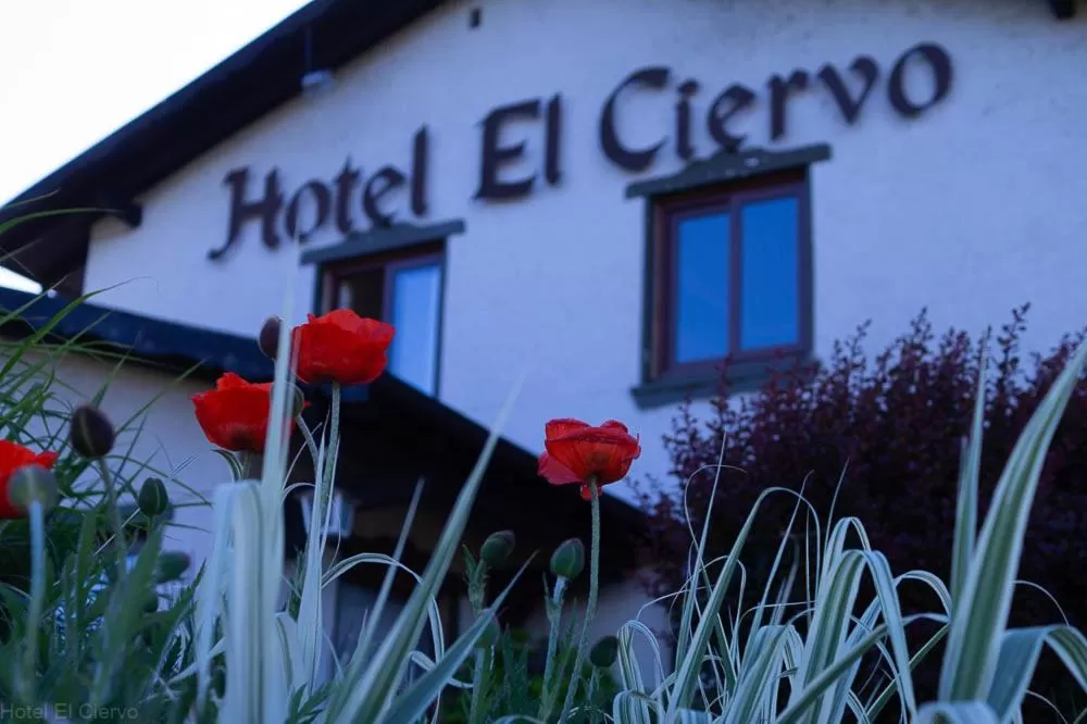 Property Logo/Sign in Hotel El Ciervo