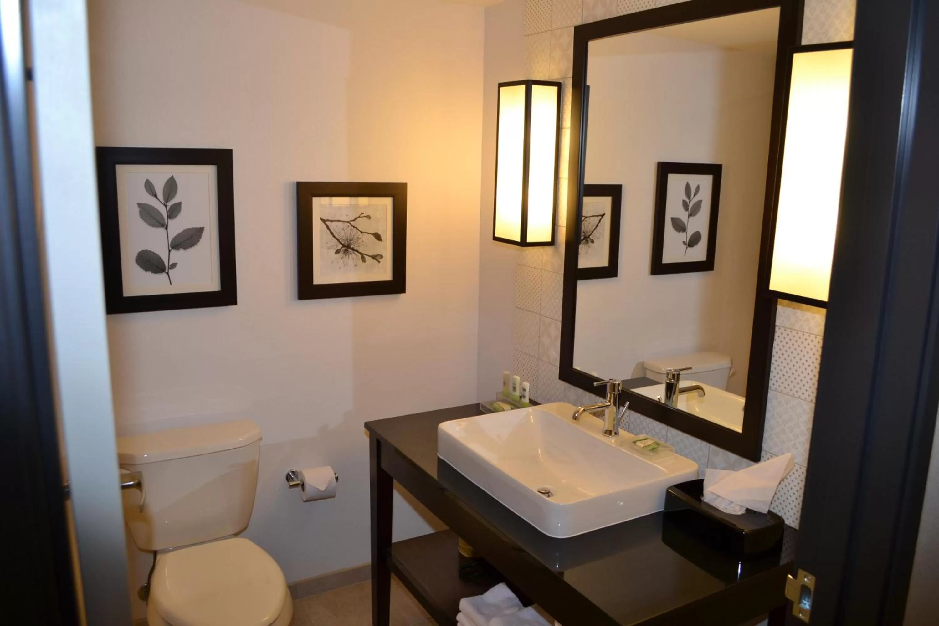 King Studio - Non-Smoking in Country Inn & Suites by Radisson Roseville - St Paul