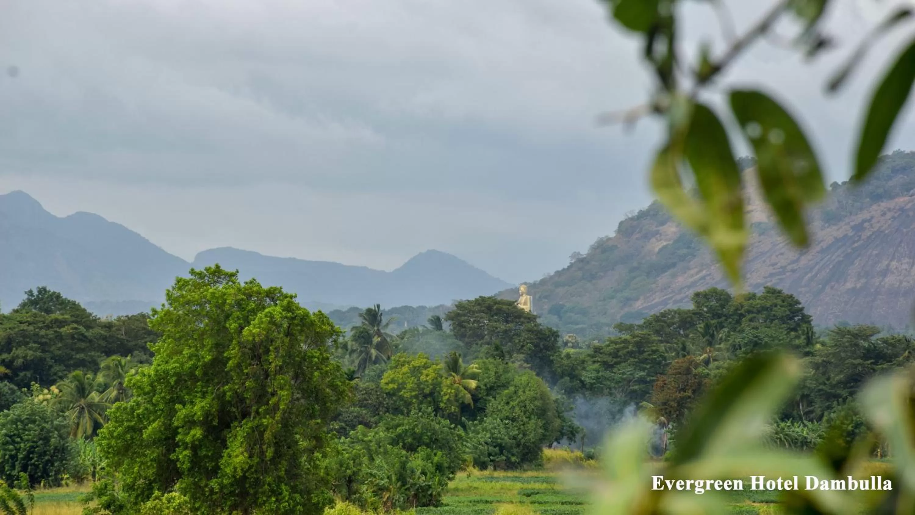 Nearby landmark, Mountain View in Evergreen Hotel Dambulla