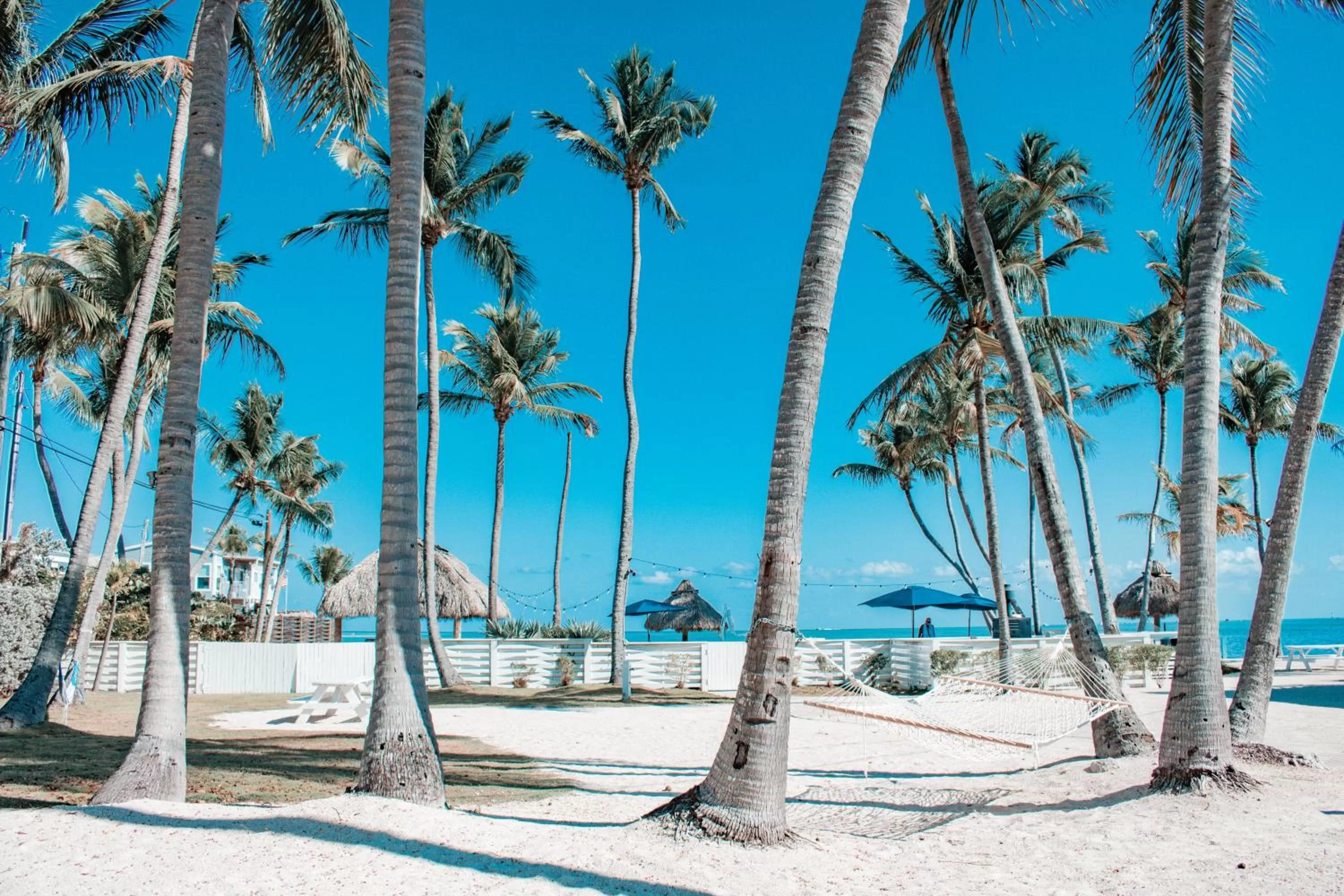 Natural landscape in Drop Anchor Resort & Marina