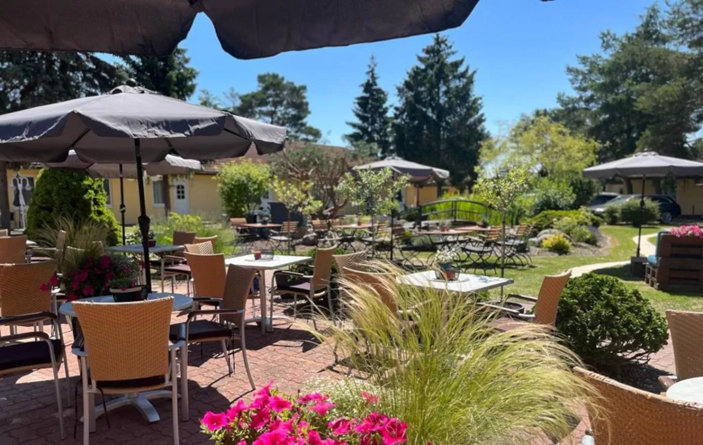 Patio in Hotel Pommerscher Hof