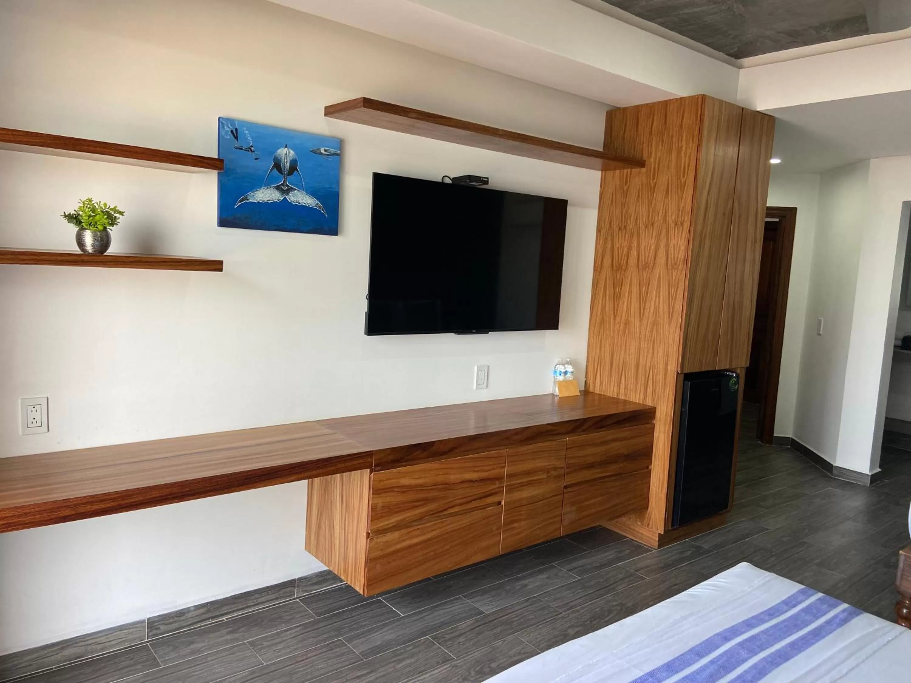 TV and multimedia in HOTEL EL CORAL