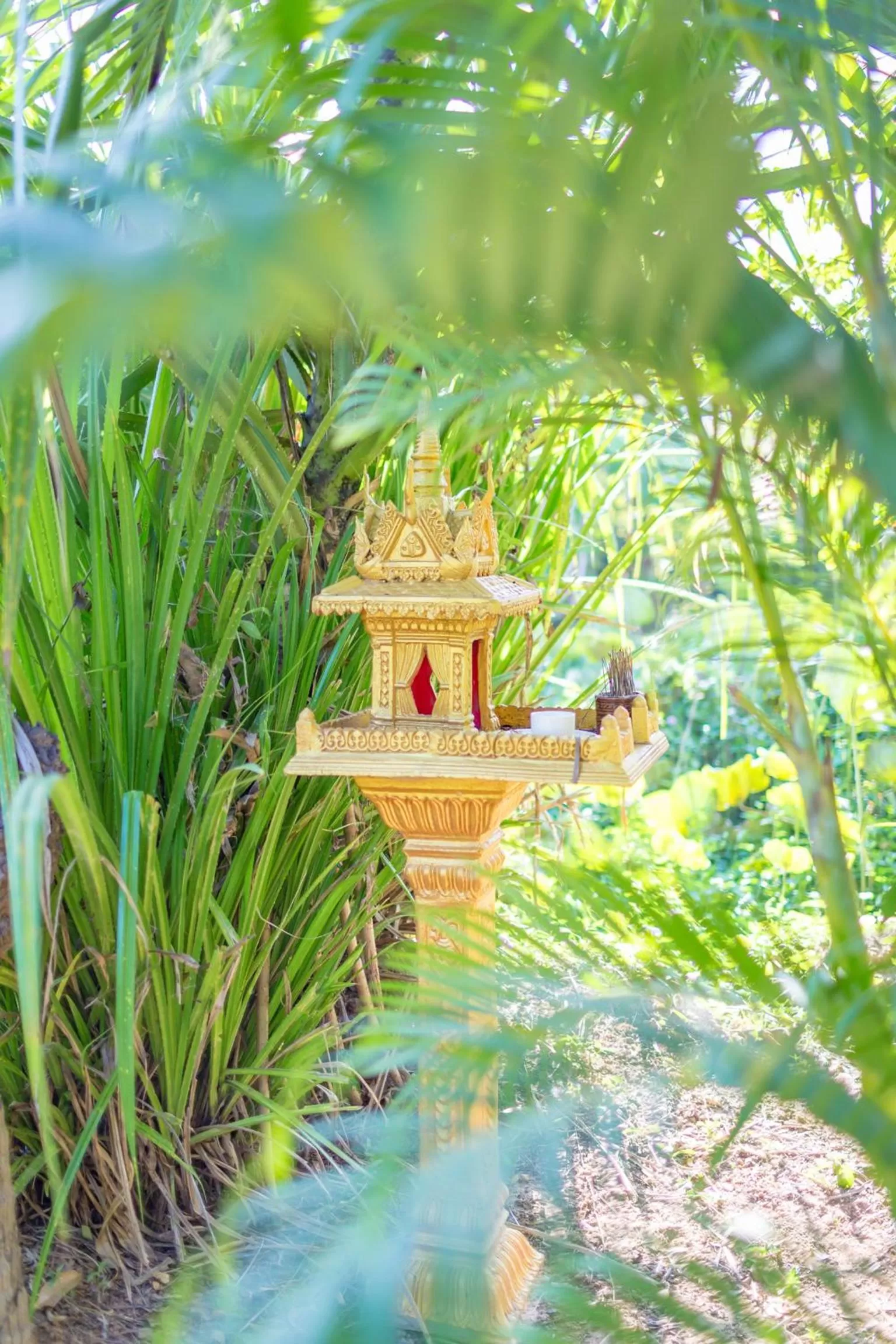 Garden in Sambor Village Hotel