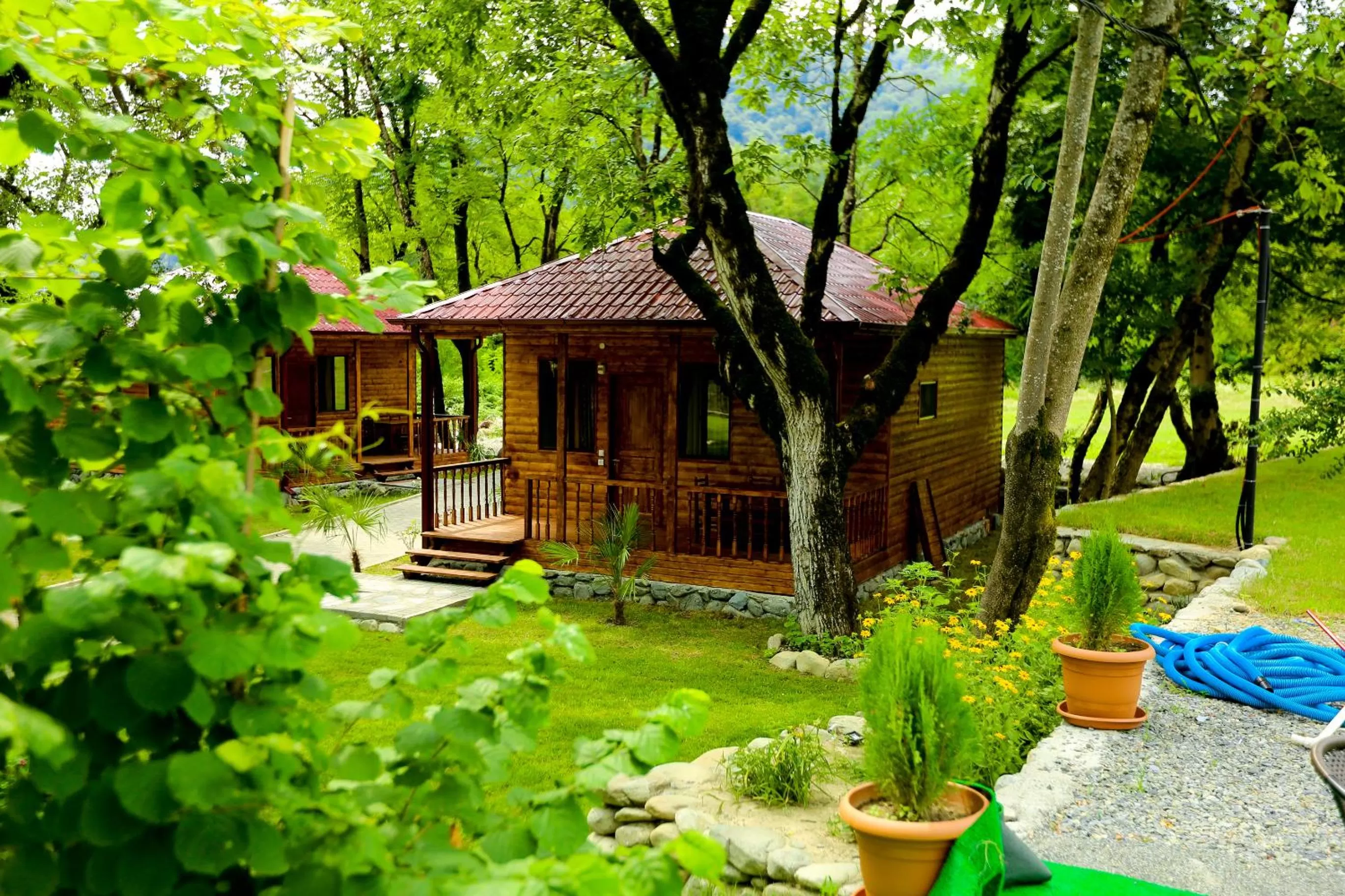 Garden, Property Building in Royal Palace Hotel, Lagodekhi