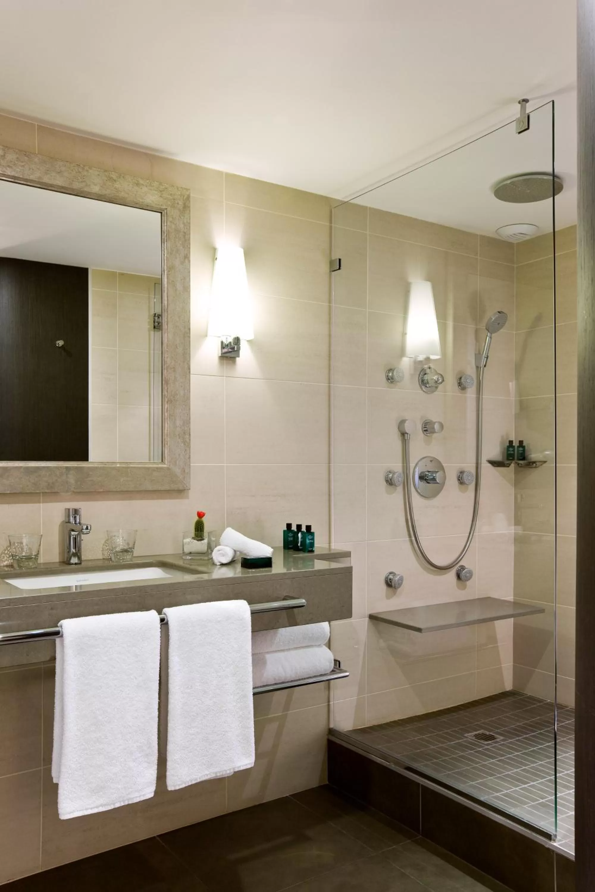 Shower in Sofitel Marseille Vieux-Port