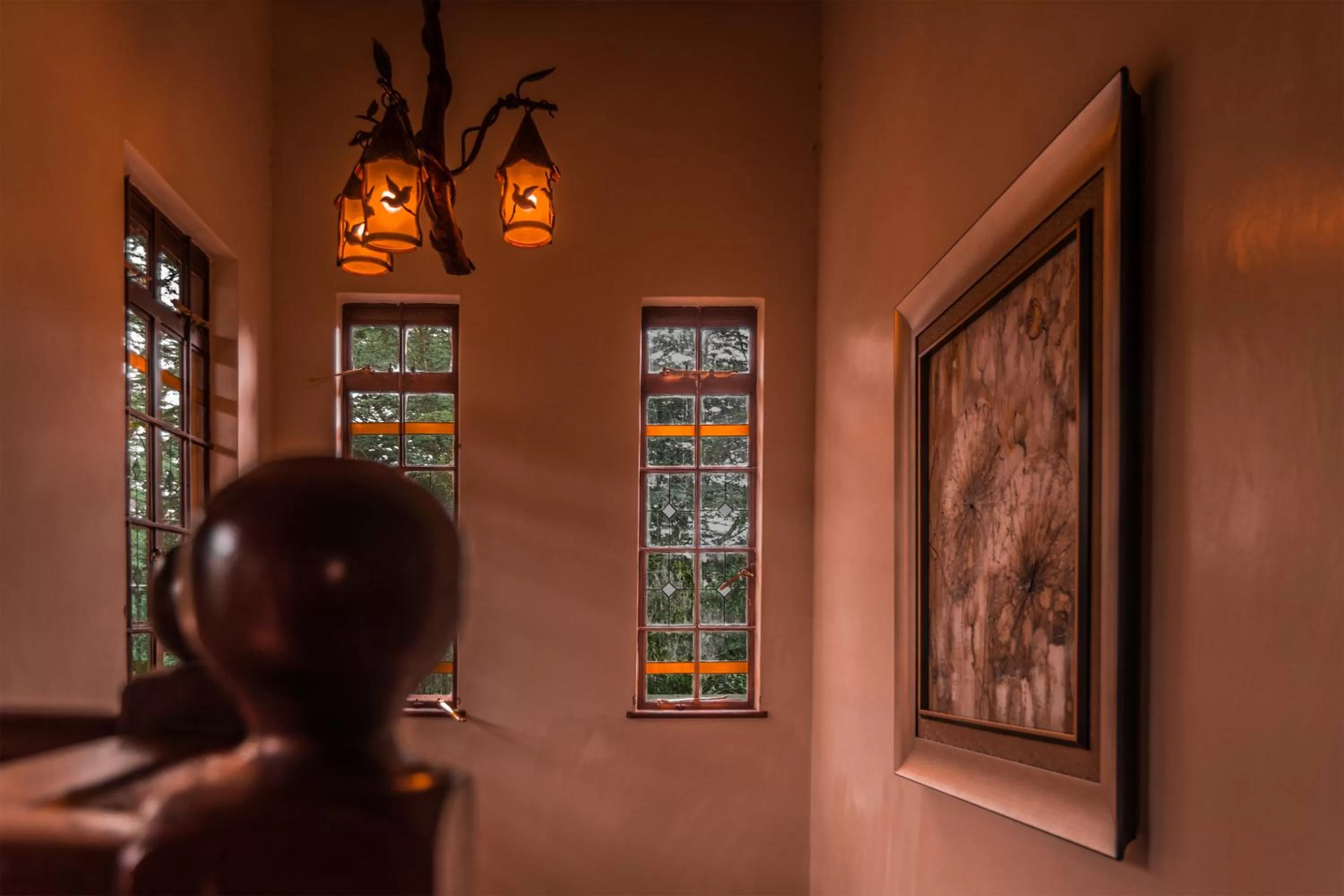 Balcony/Terrace in Oilepo Cottage