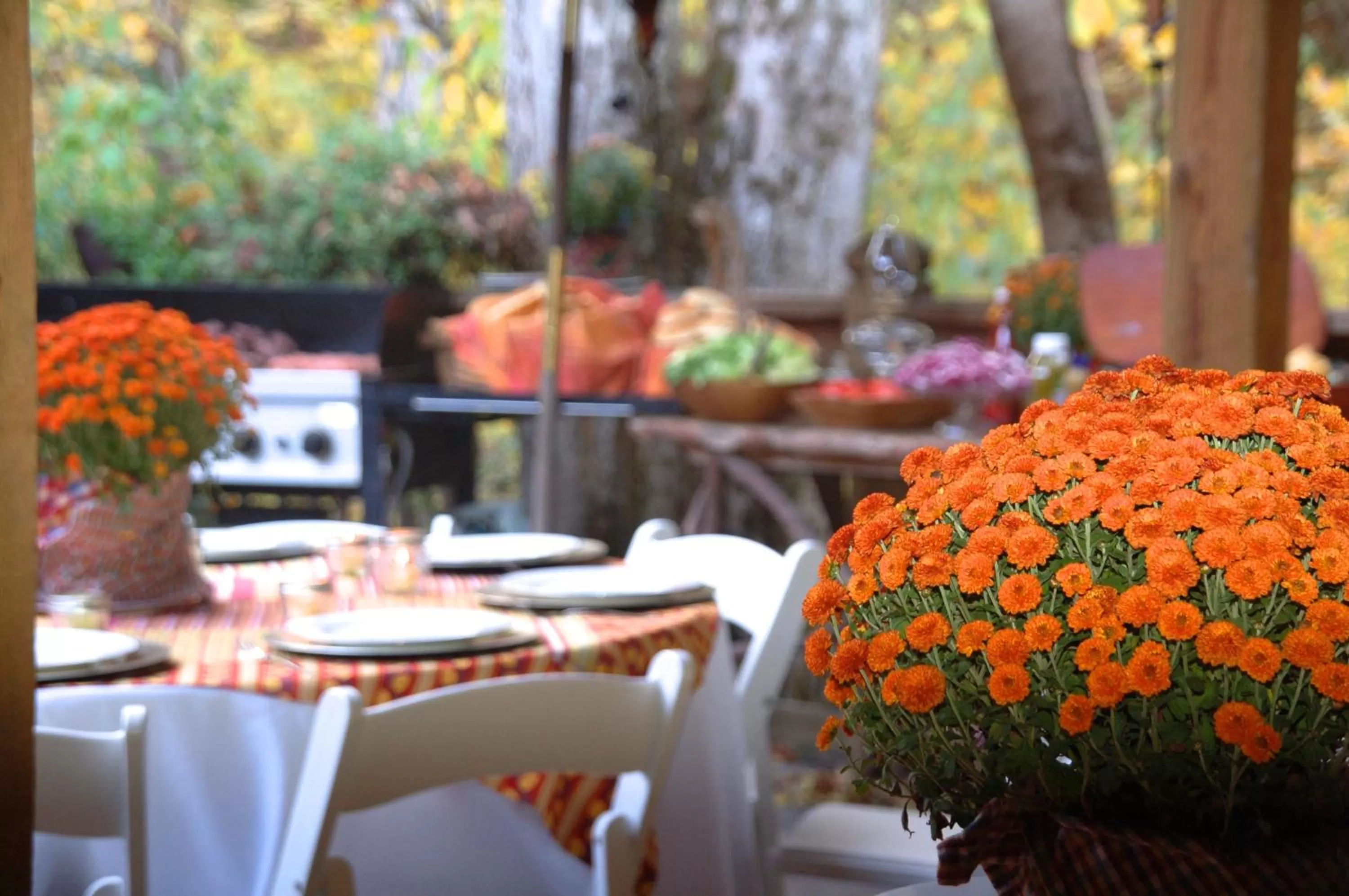 Breakfast, Restaurant/Places to Eat in Creekwalk Inn Bed and Breakfast with Cabins