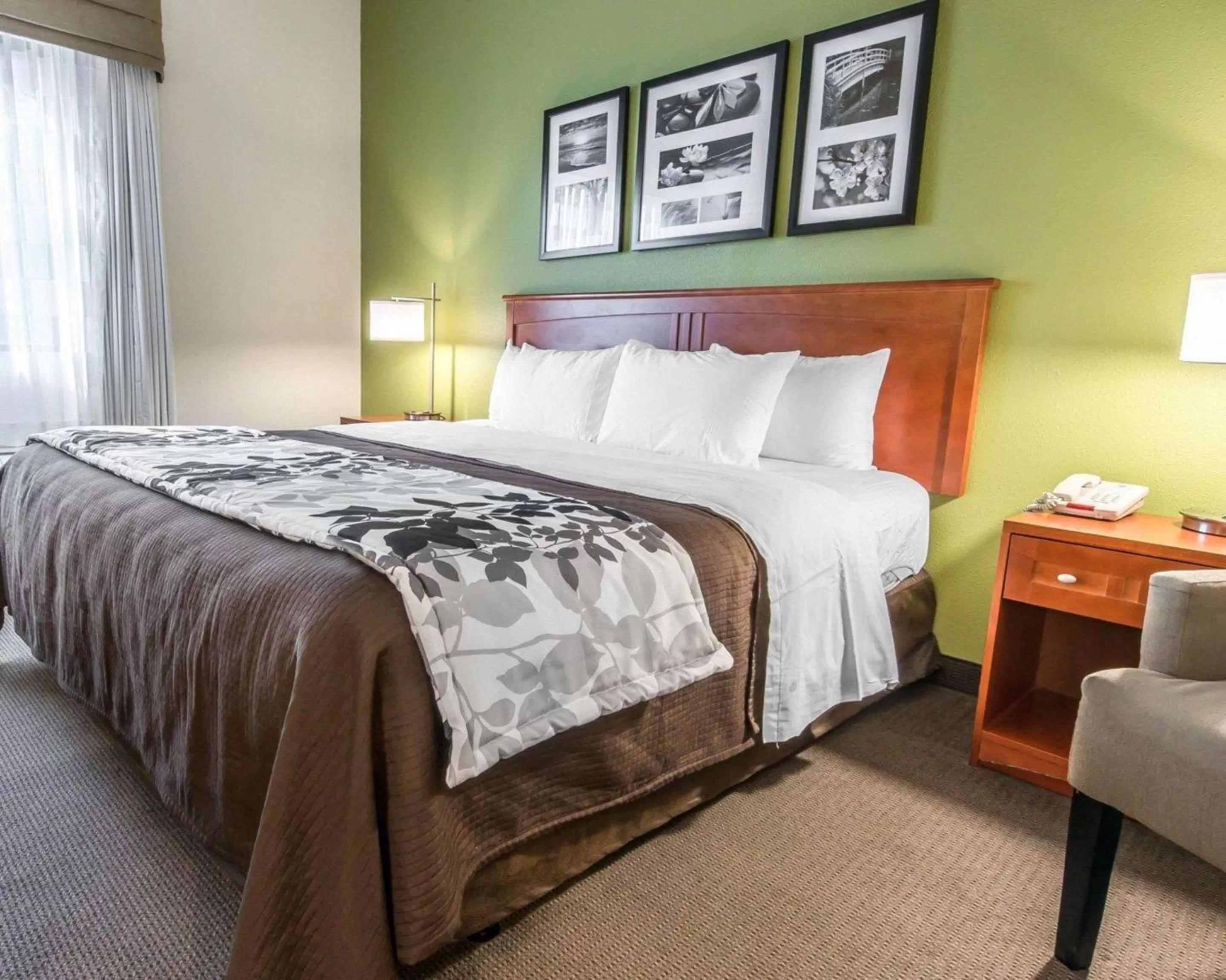 Photo of the whole room, Bed in Sleep Inn & Suites Winchester near University