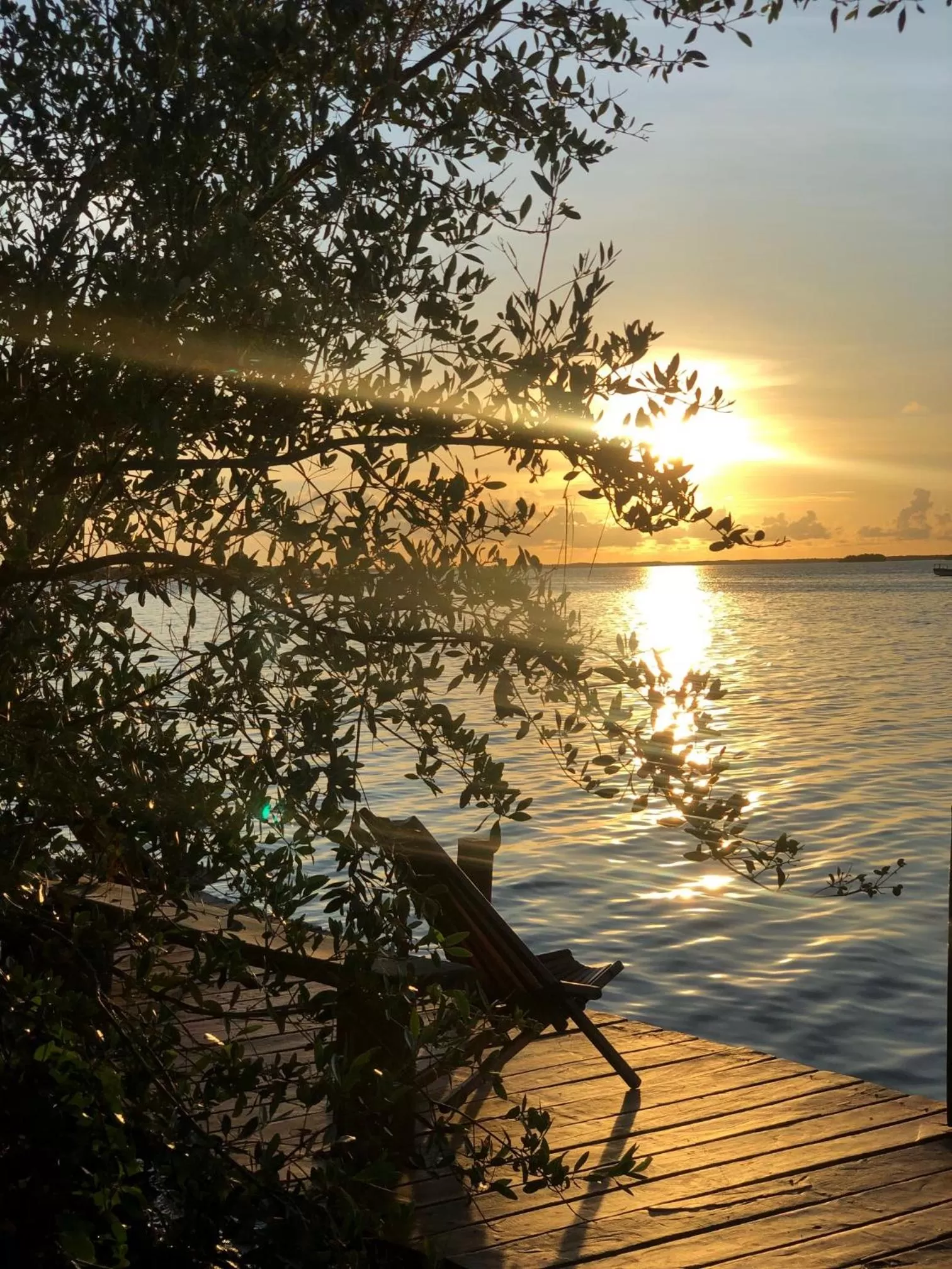 Restaurant/places to eat in Hotel Rio Lagartos