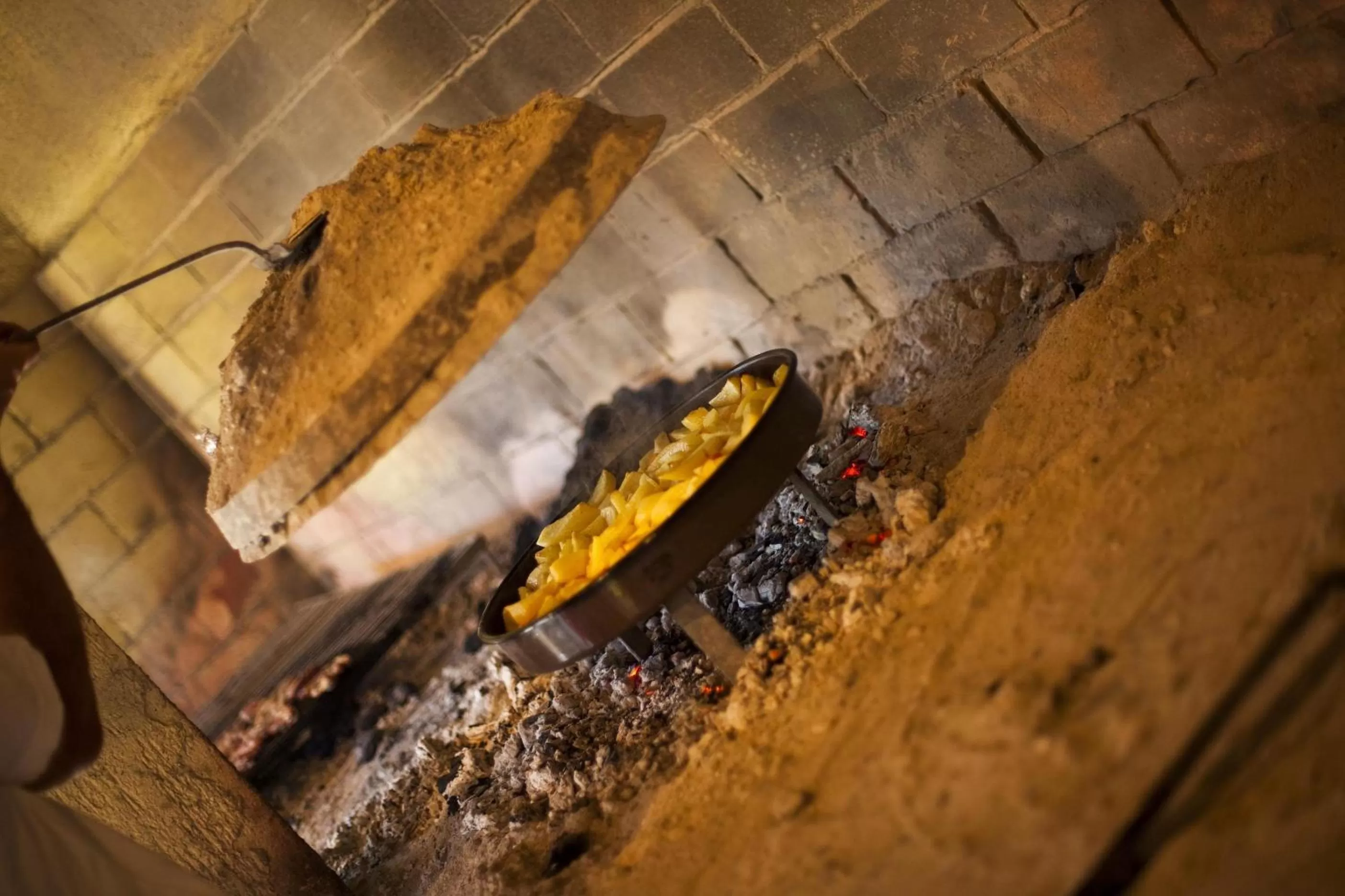 Food, Other Animals in Hotel Park