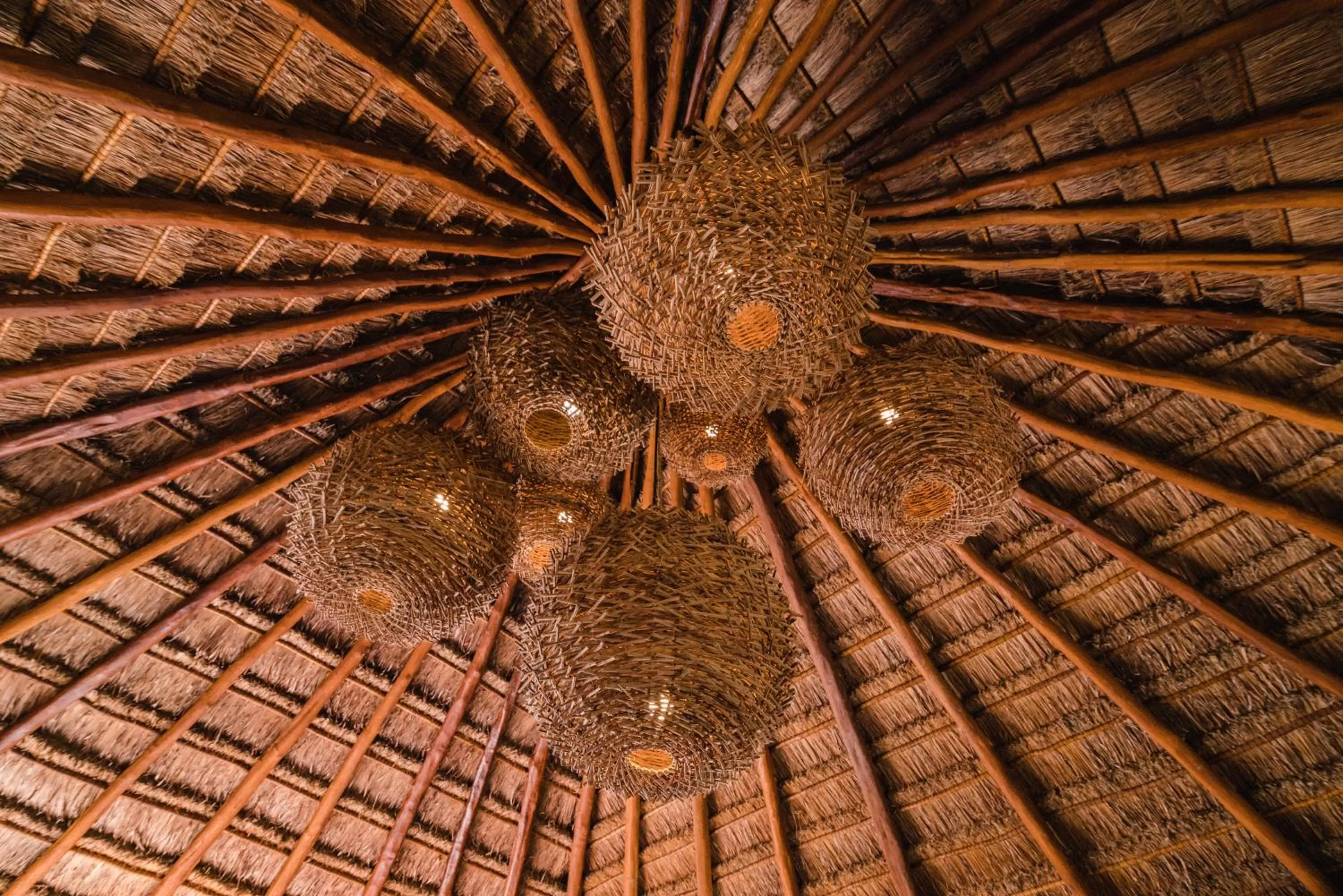 Restaurant/places to eat in Blue Palm Bacalar