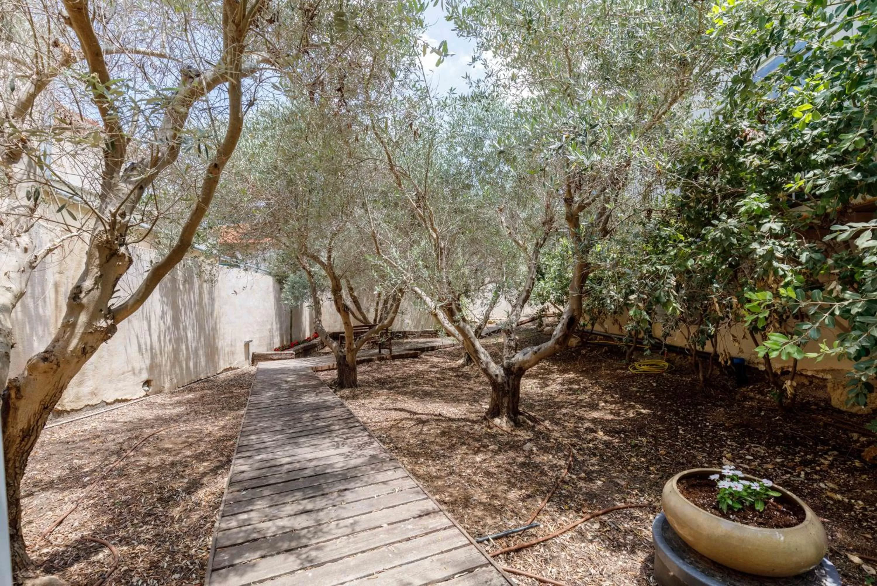 Natural landscape in Smadar-Inn