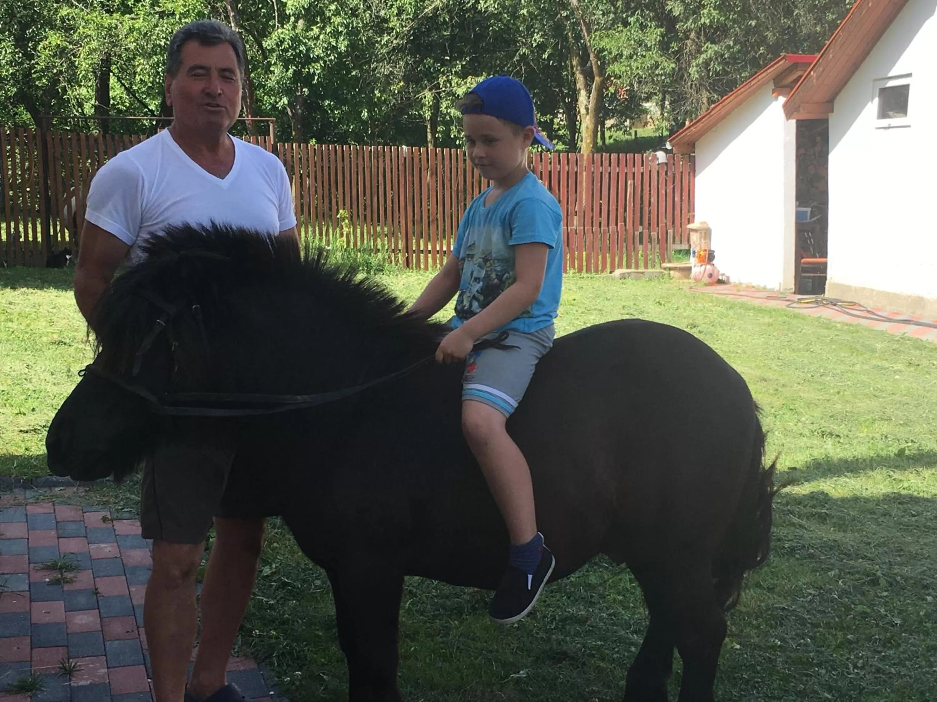 Day in Pensiunea SilvAnka