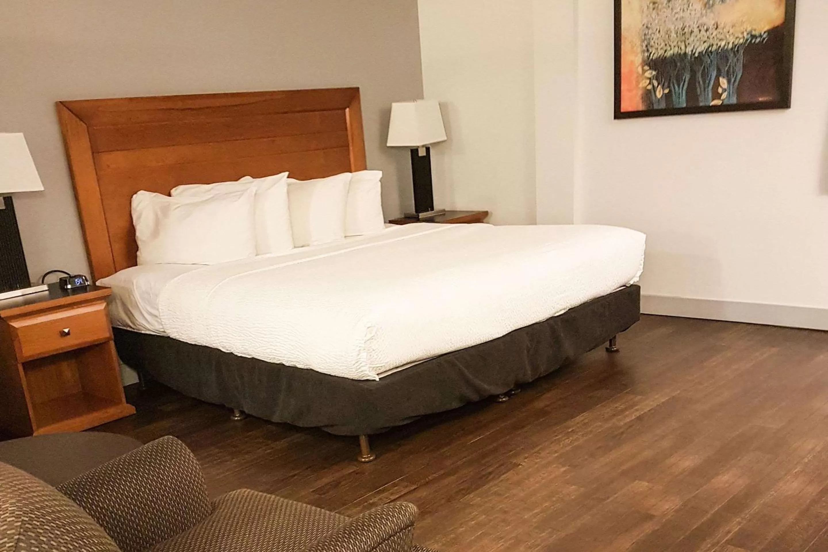 Photo of the whole room, Bed in Quality Inn West Edmonton