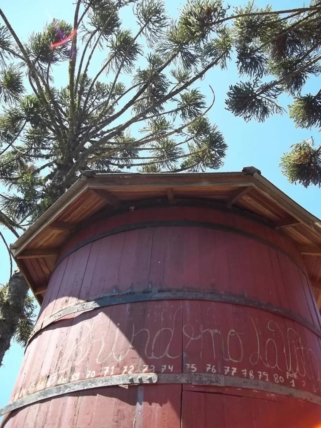 Day, Property Building in Bina's Haus Pousada, Cafeteria e Atelier