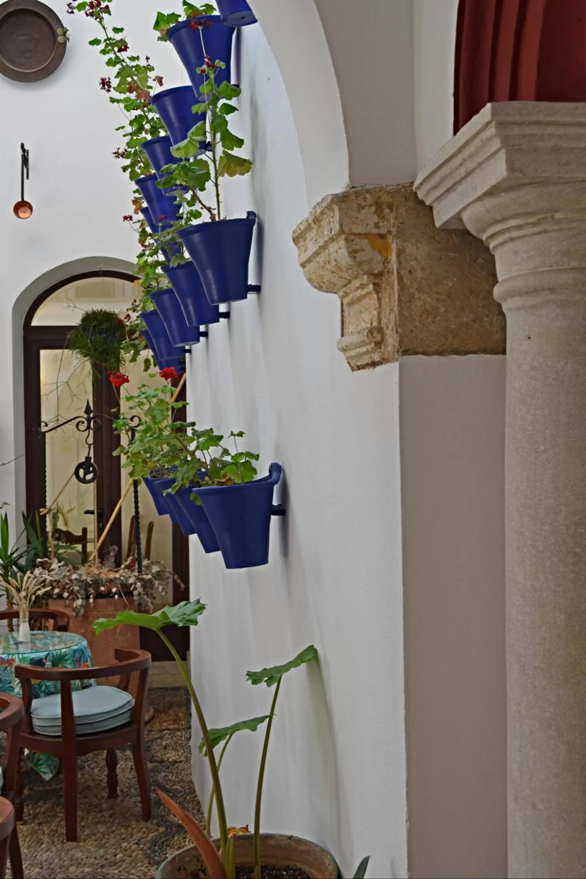 Patio in Hotel Marisa