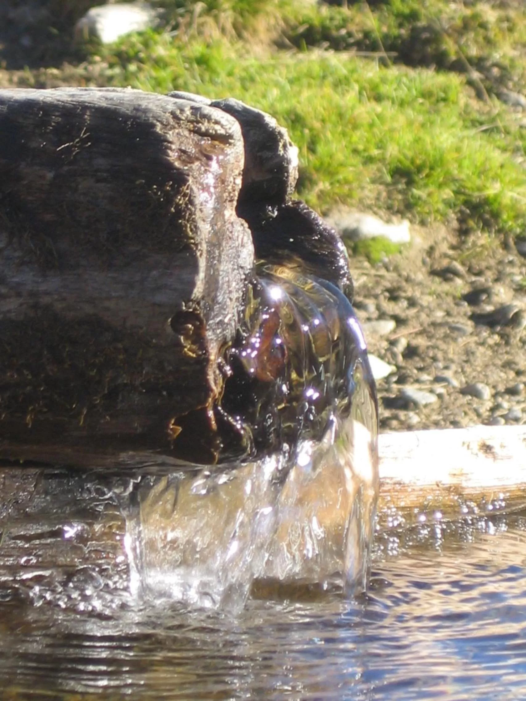 Area and facilities in Hotel Bambi Am Park