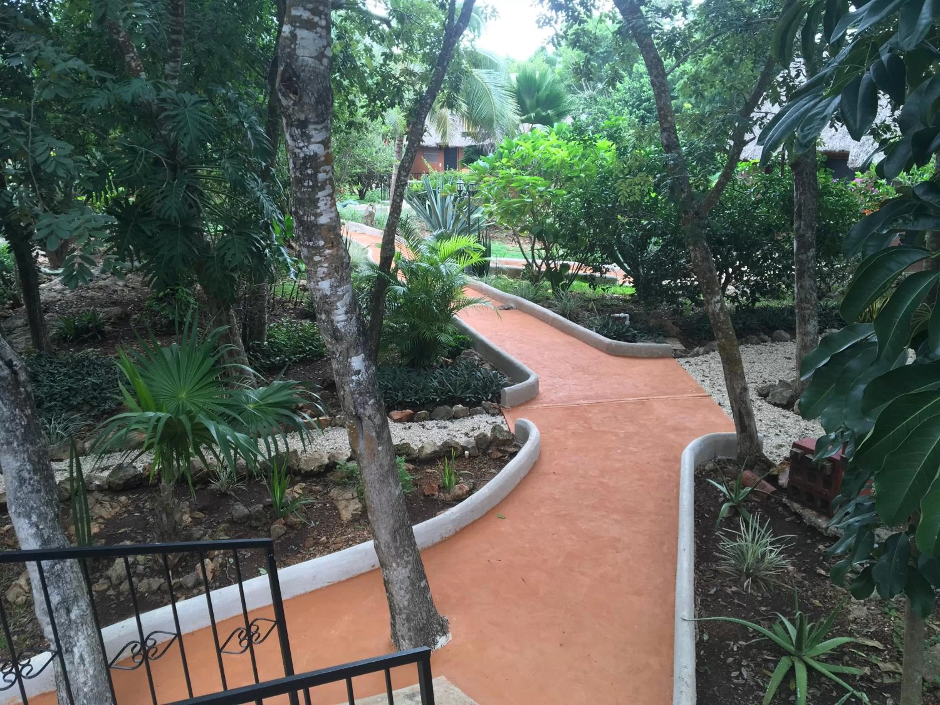 Garden in The Pickled Onion Eco-Boutique B&B