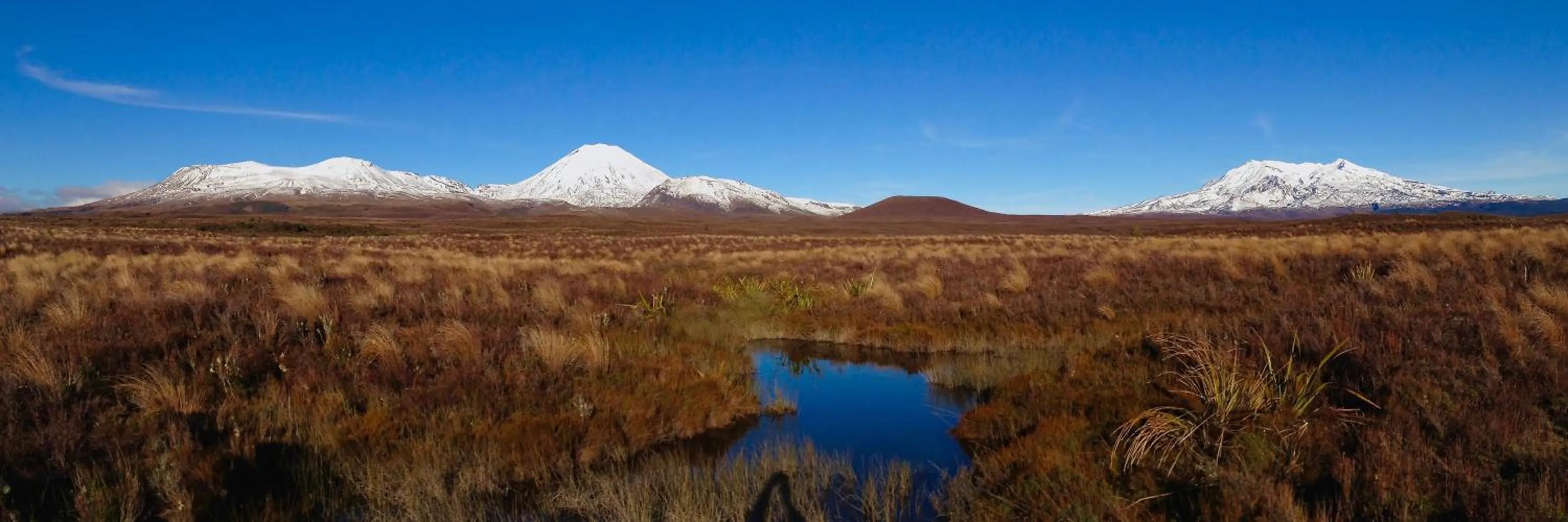 Nearby landmark in River Birches