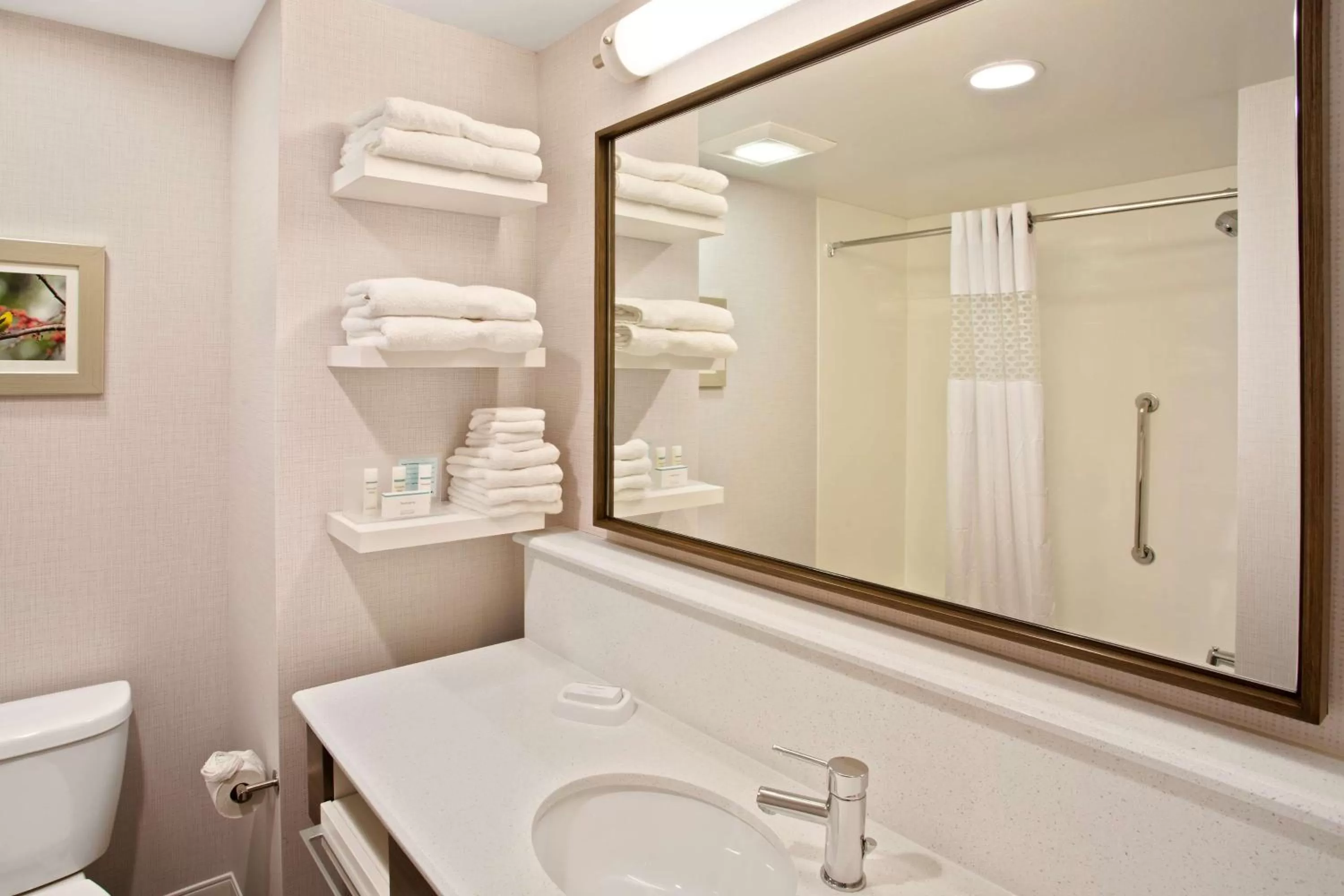 Bathroom in Hampton Inn & Suites- Seattle Woodinville Wa