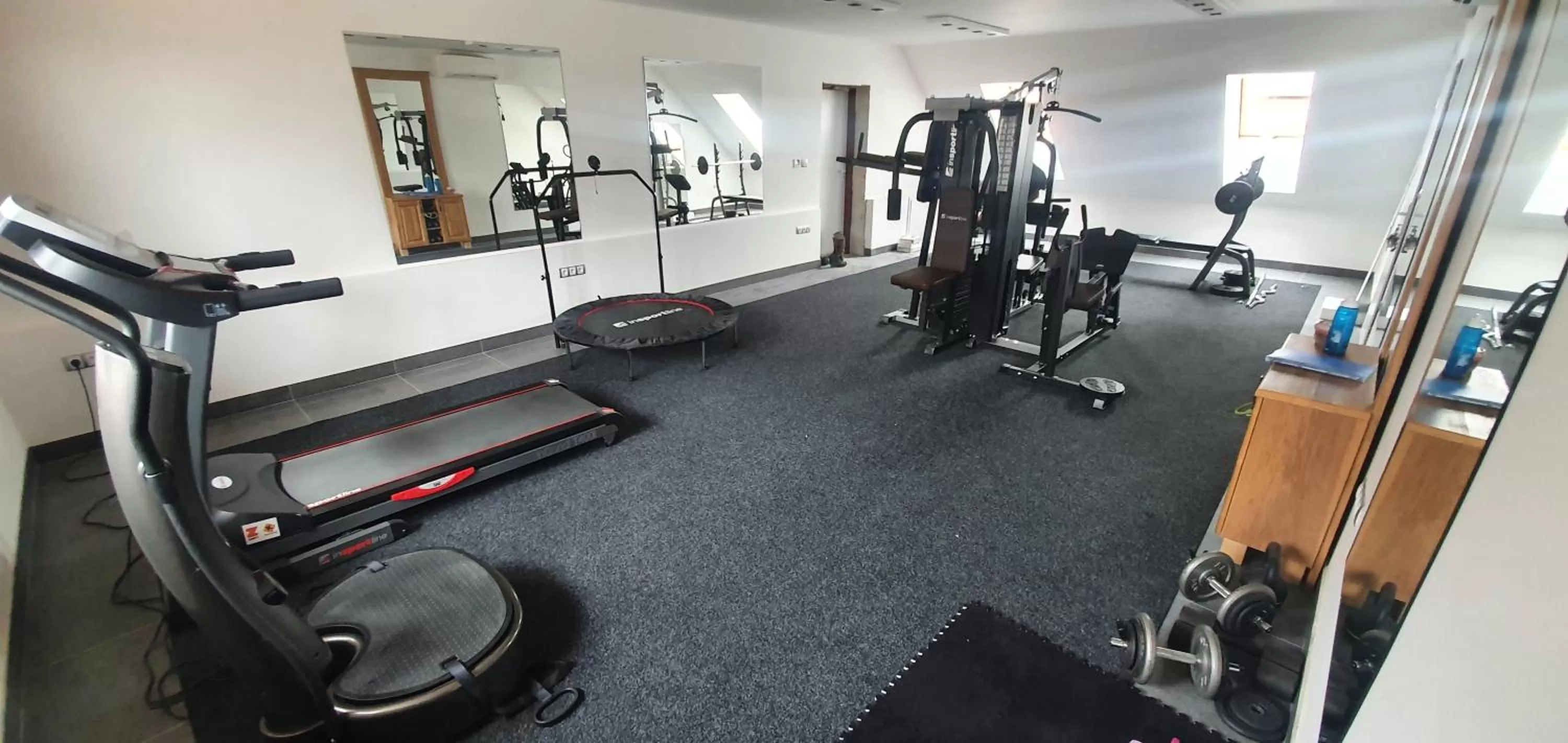 Fitness centre/facilities in Hotel Farma Vysoká