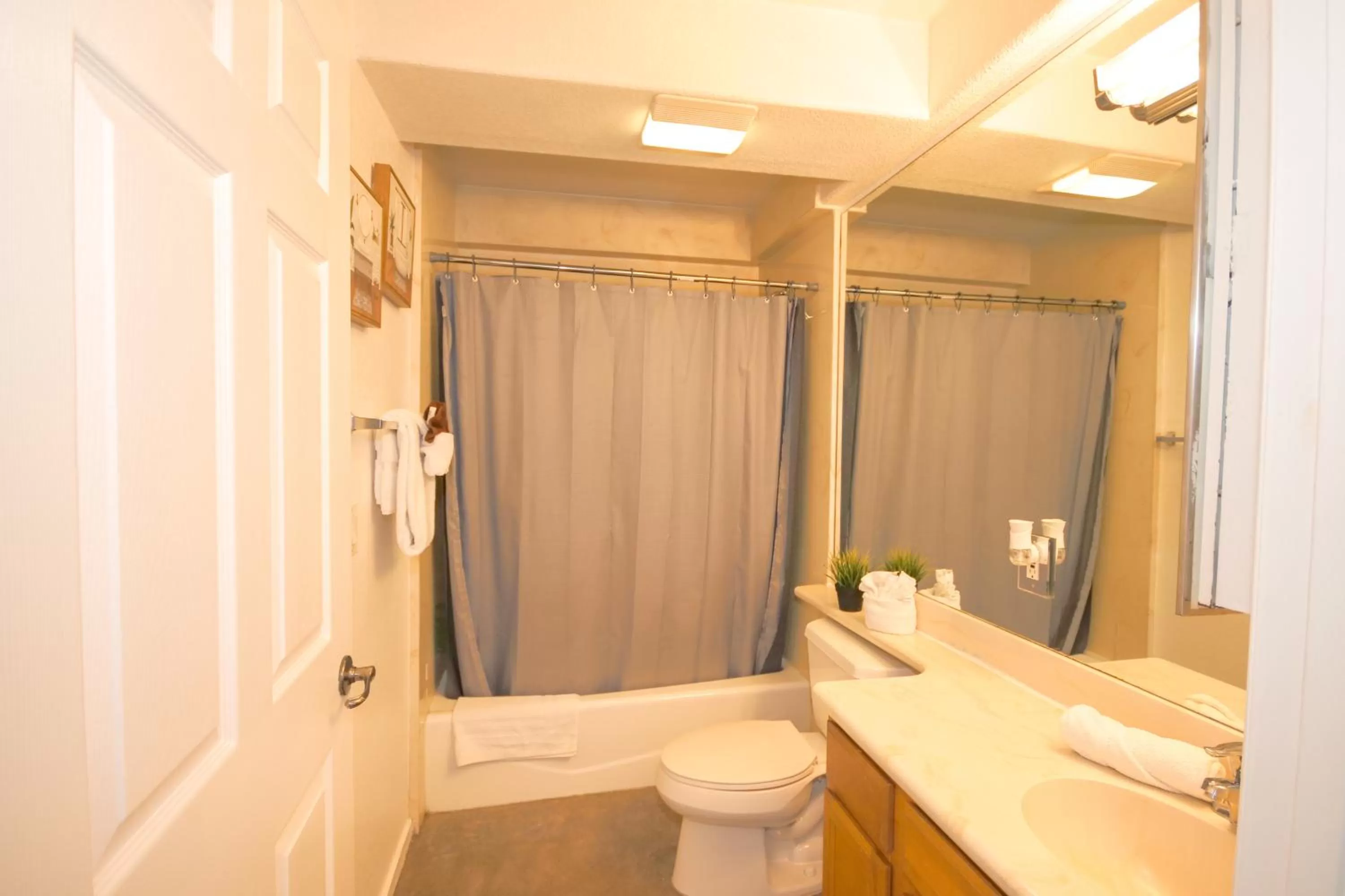 Little Italy Modern Lofts