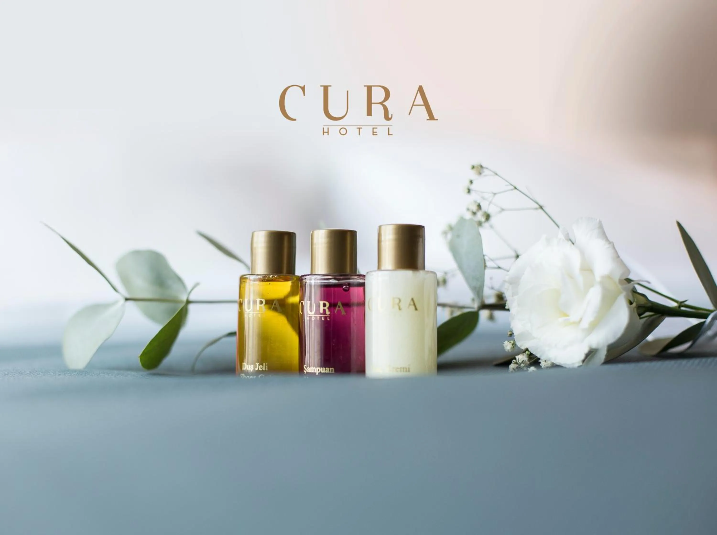 Decorative detail in Hotel Cura