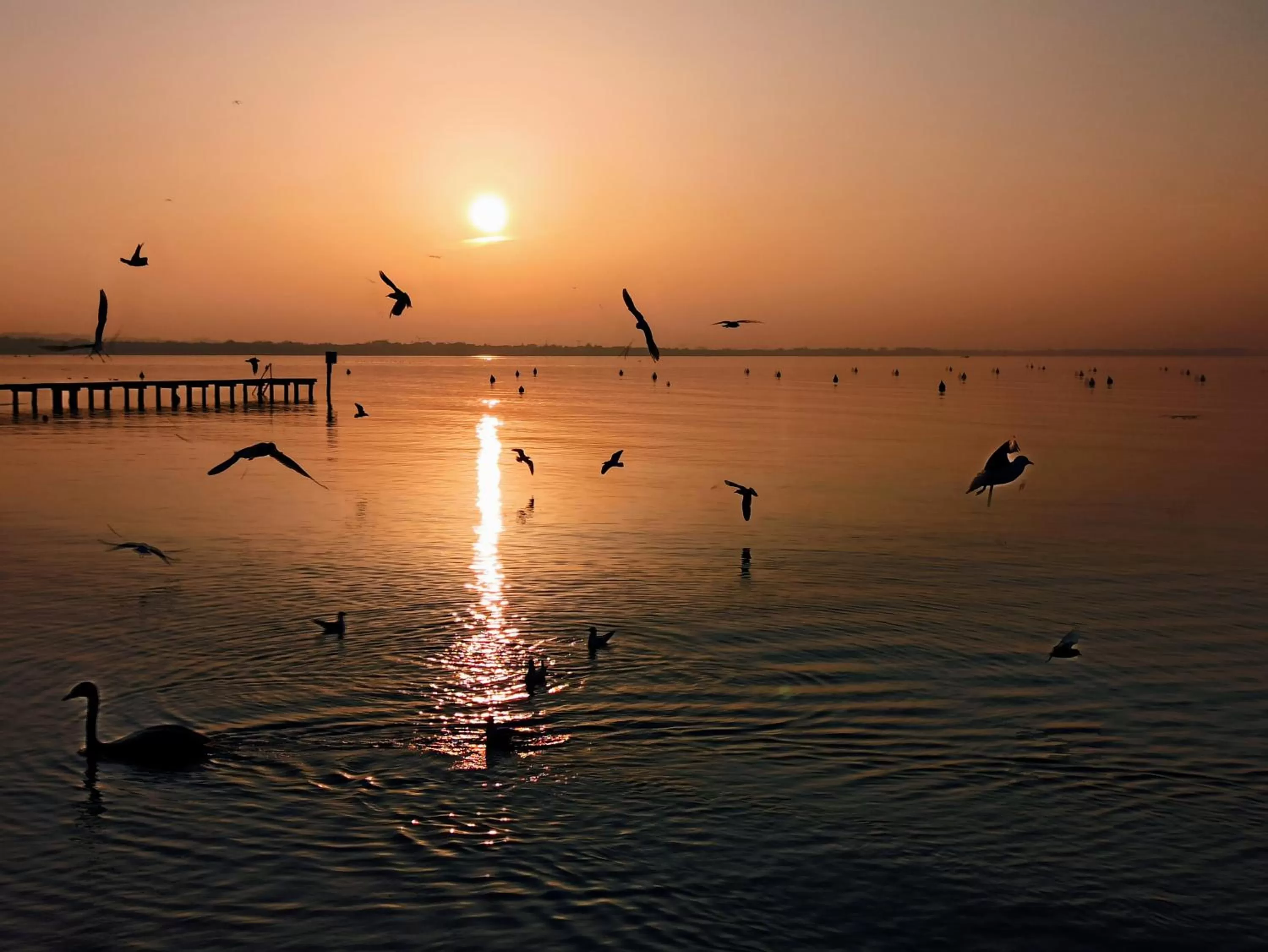 Natural landscape in Le Zampolle B & B