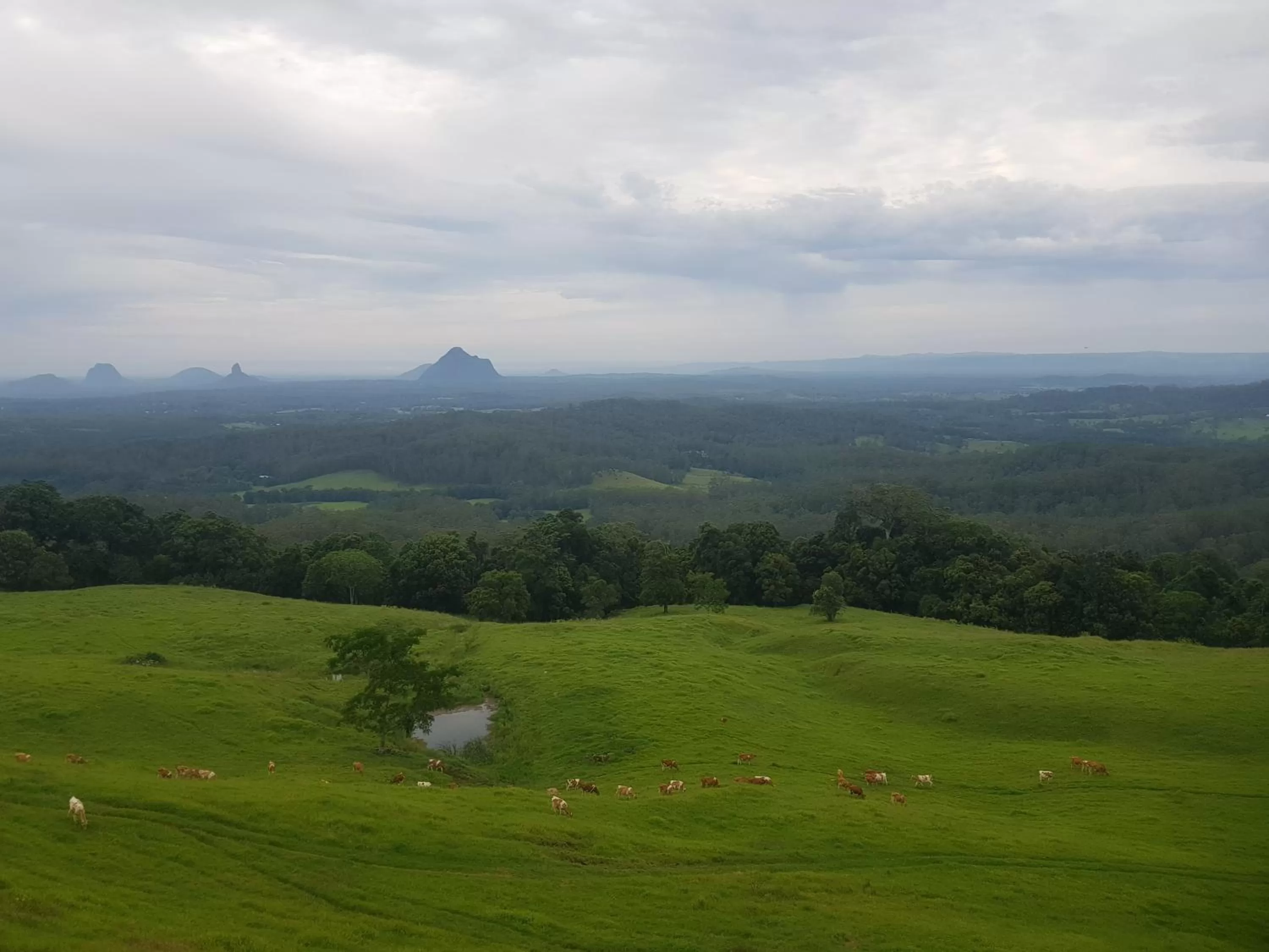 View (from property/room) in Tranquil Park