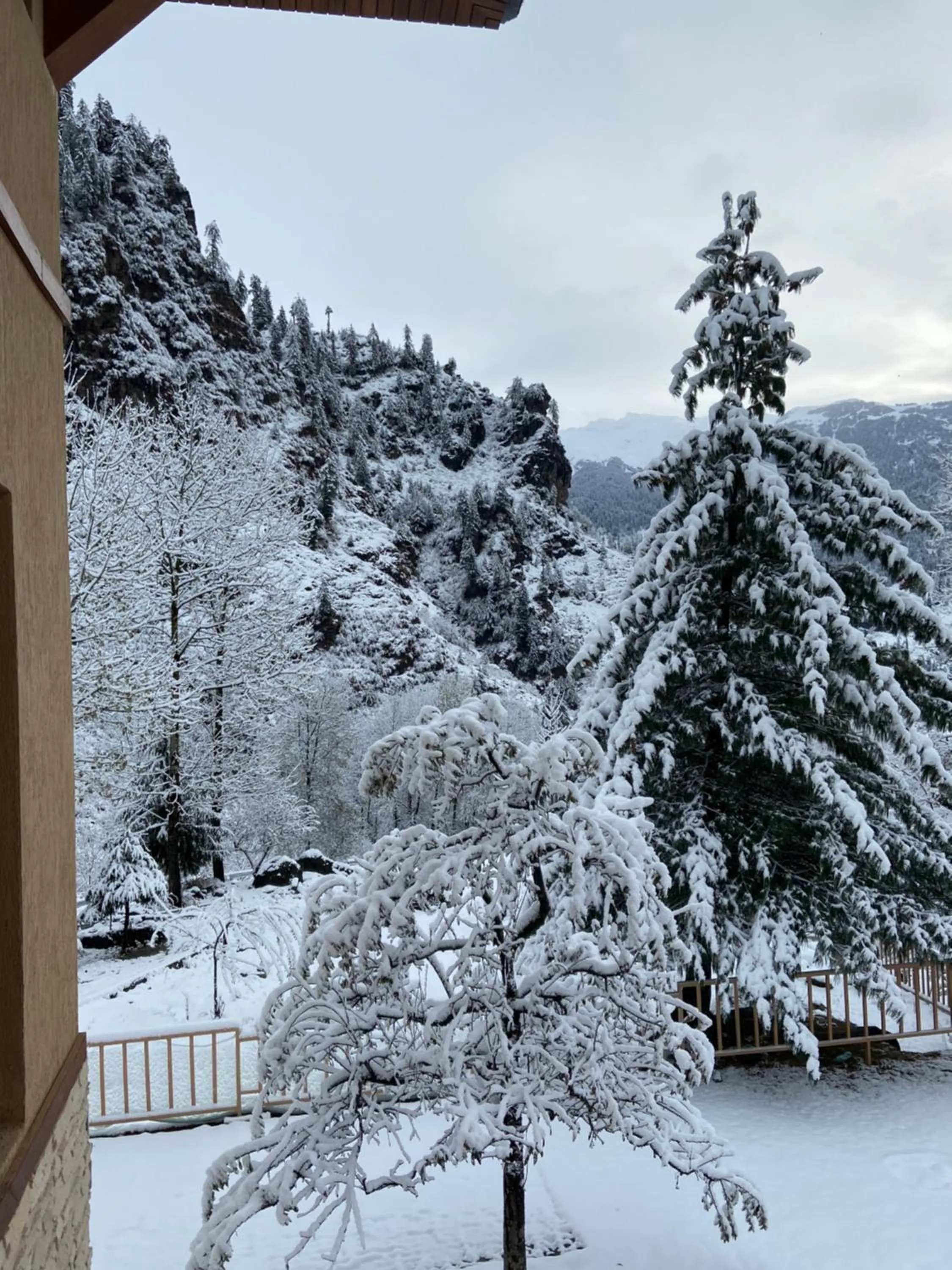 Solang Valley Resort