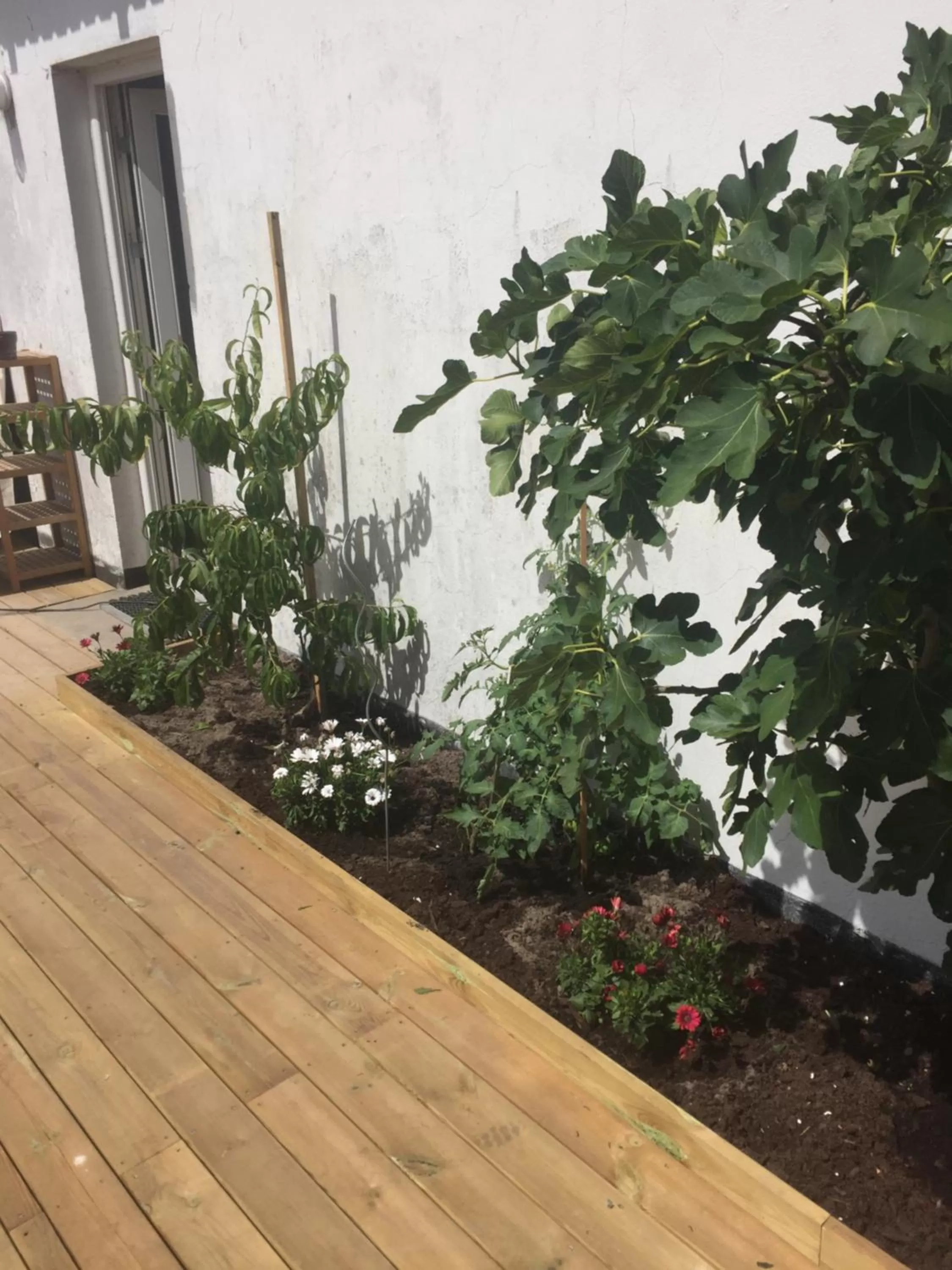 Area and facilities in Molino