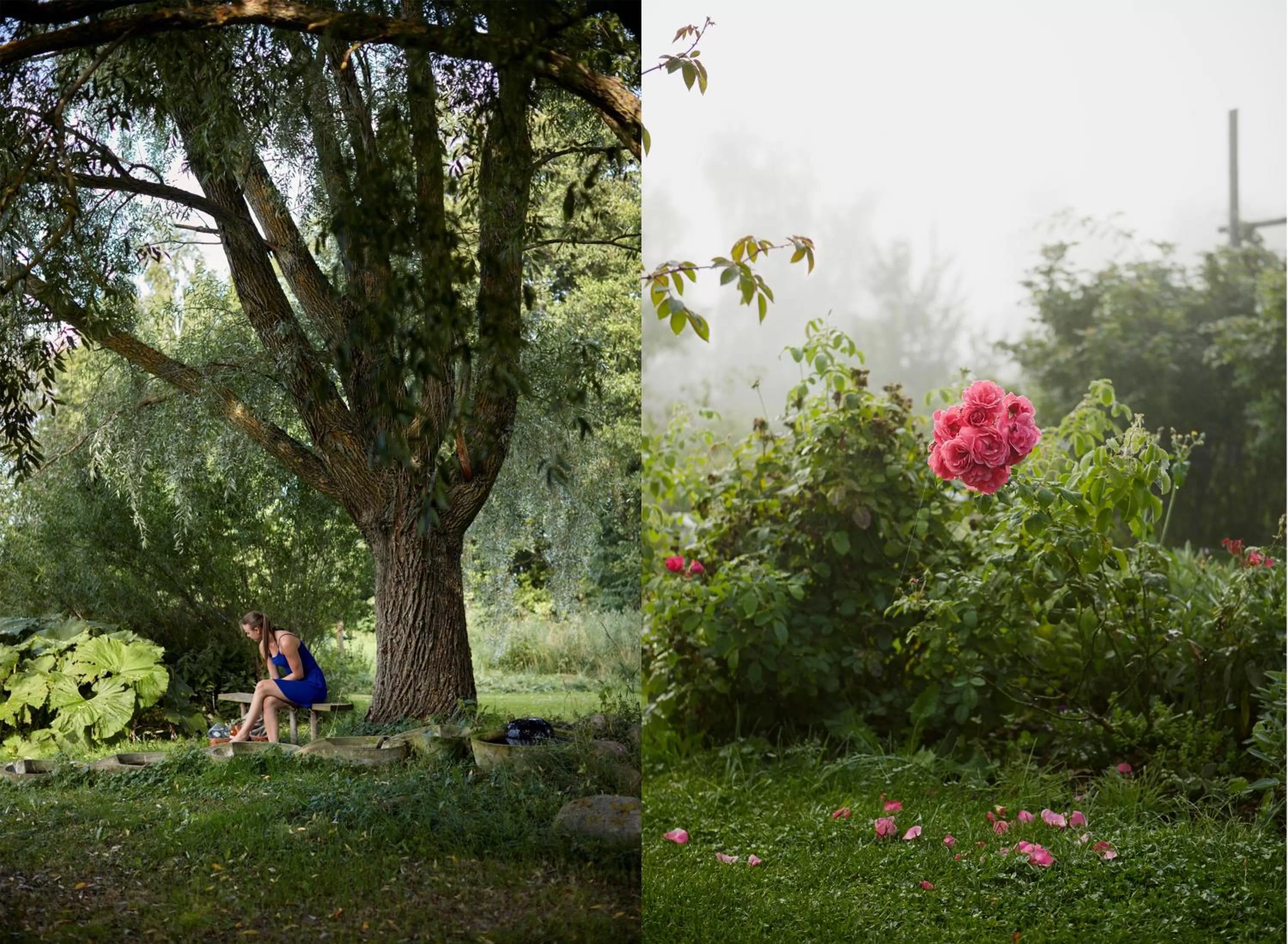 Natural landscape in Ytterjärna Hotell & Konferens