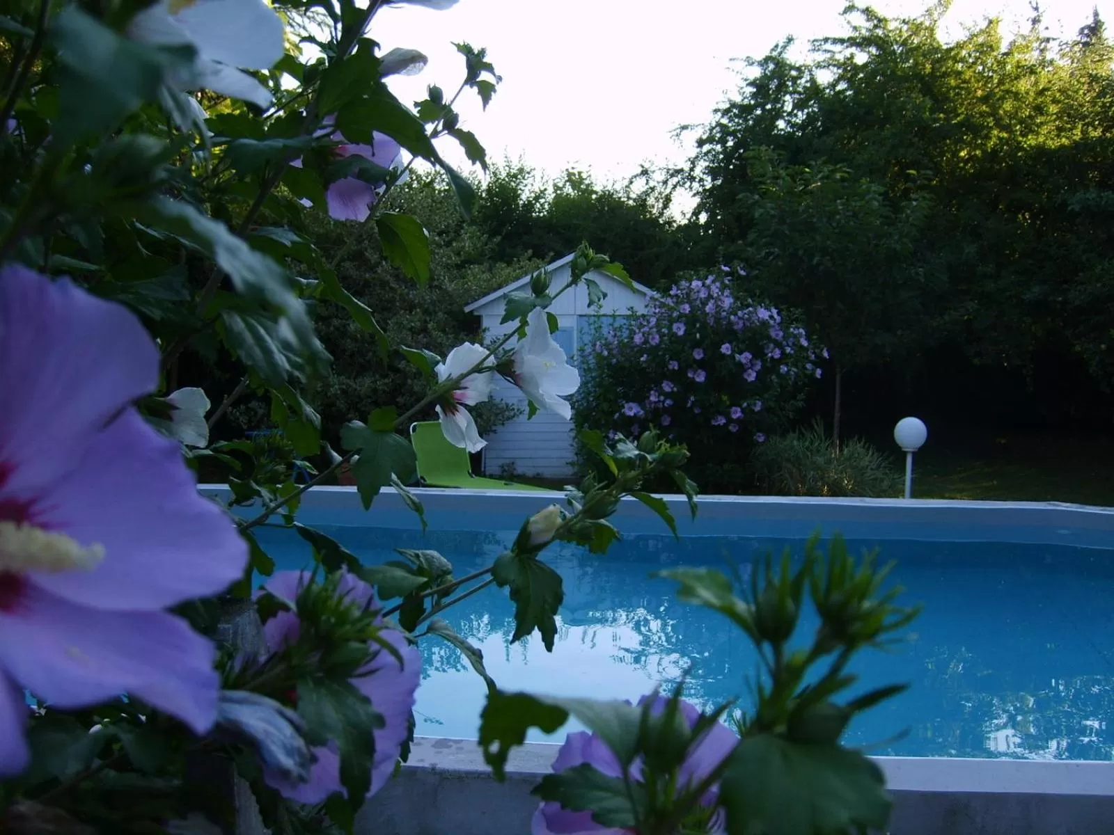 Day, Swimming Pool in La Ferme de Thoudiere