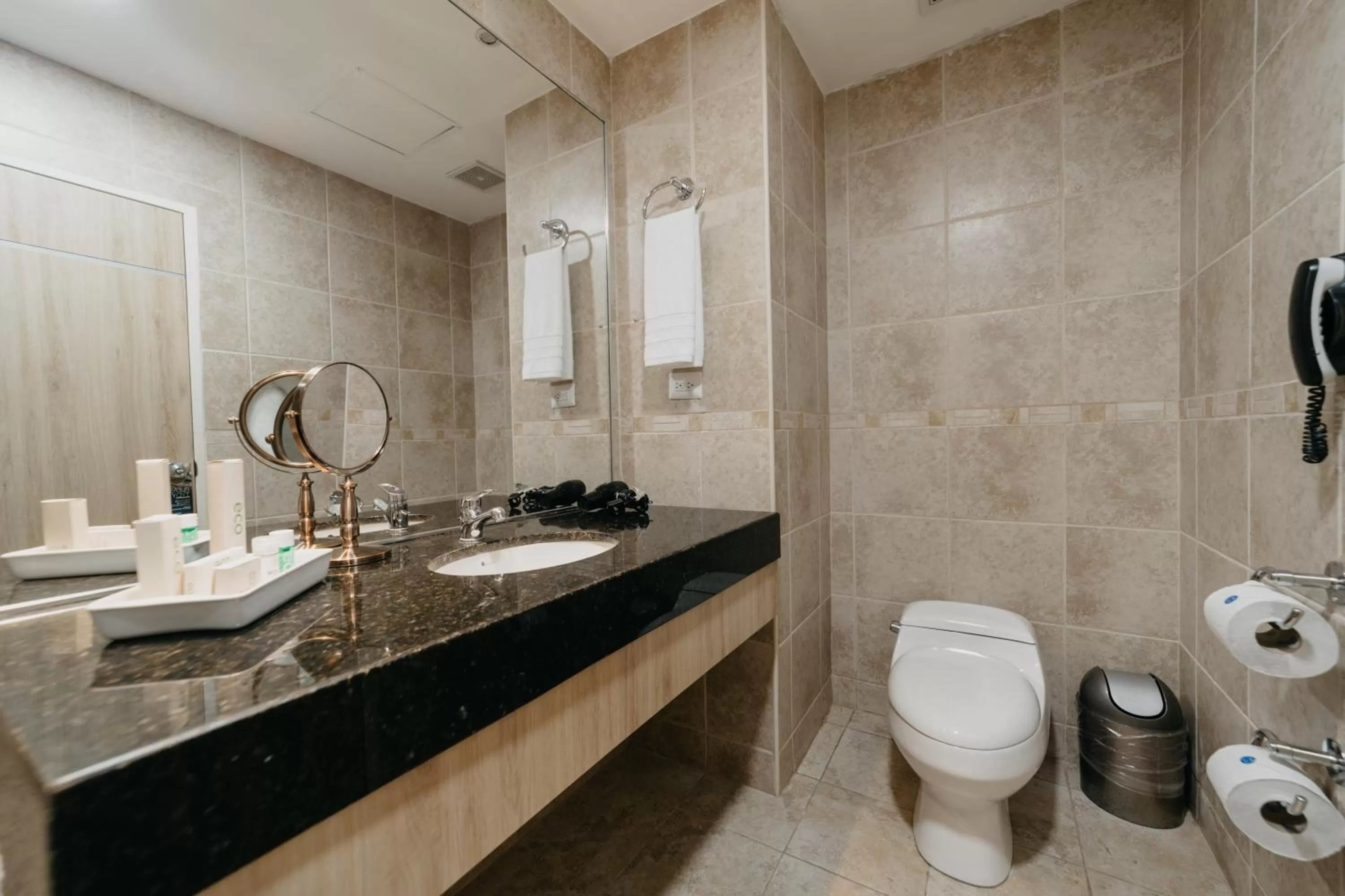 Toilet in TRYP by Wyndham Guayaquil Airport