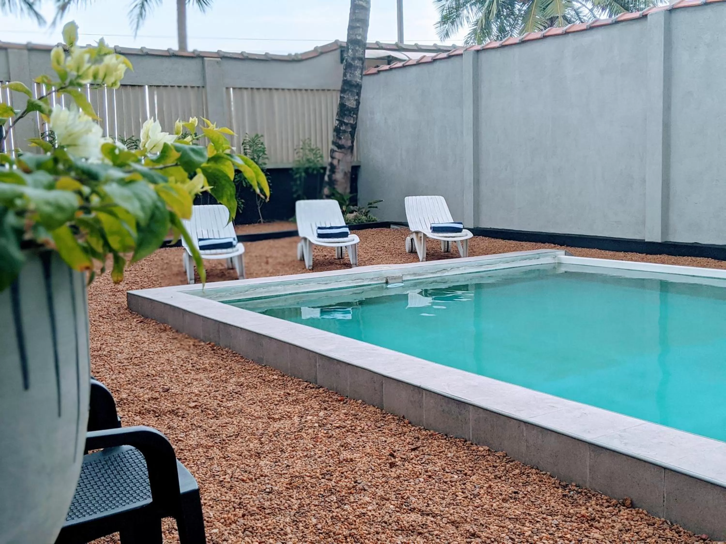 Swimming Pool in Amssler Beach Stay