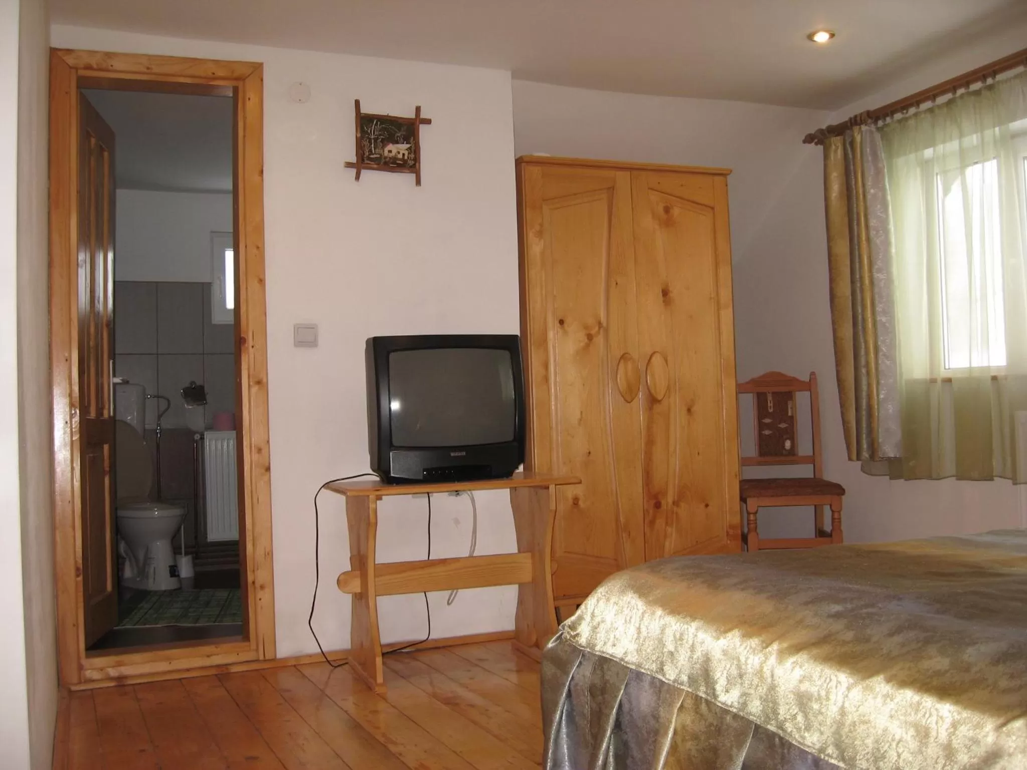 TV/Entertainment Center in Pensiunea Luminita