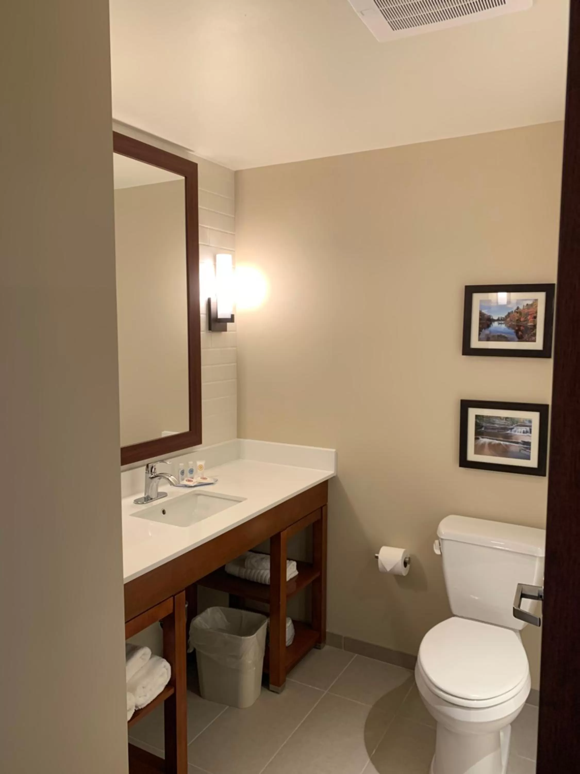Bathroom in Comfort Inn & Suites Clarkston Pine Knob Area