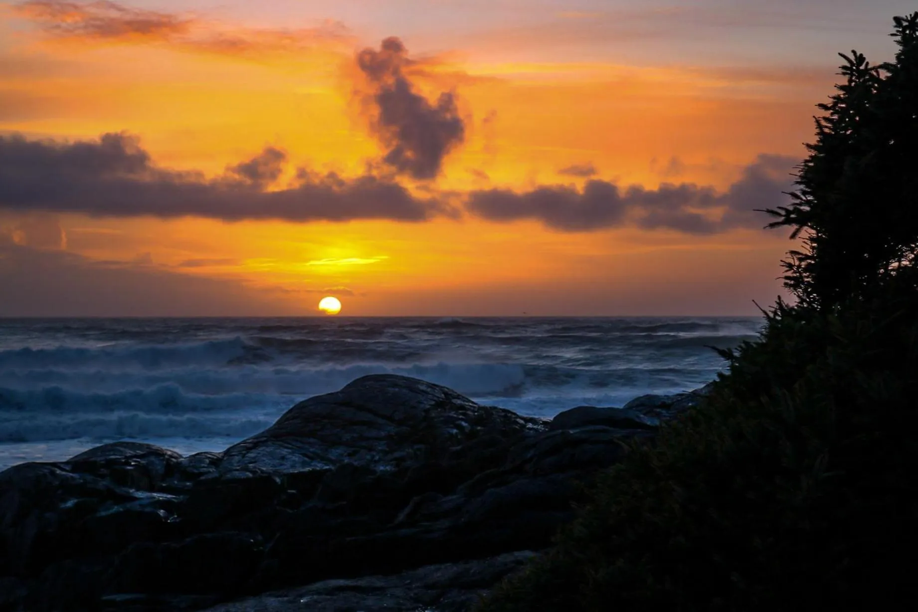 Natural landscape in Pluvio restaurant and rooms